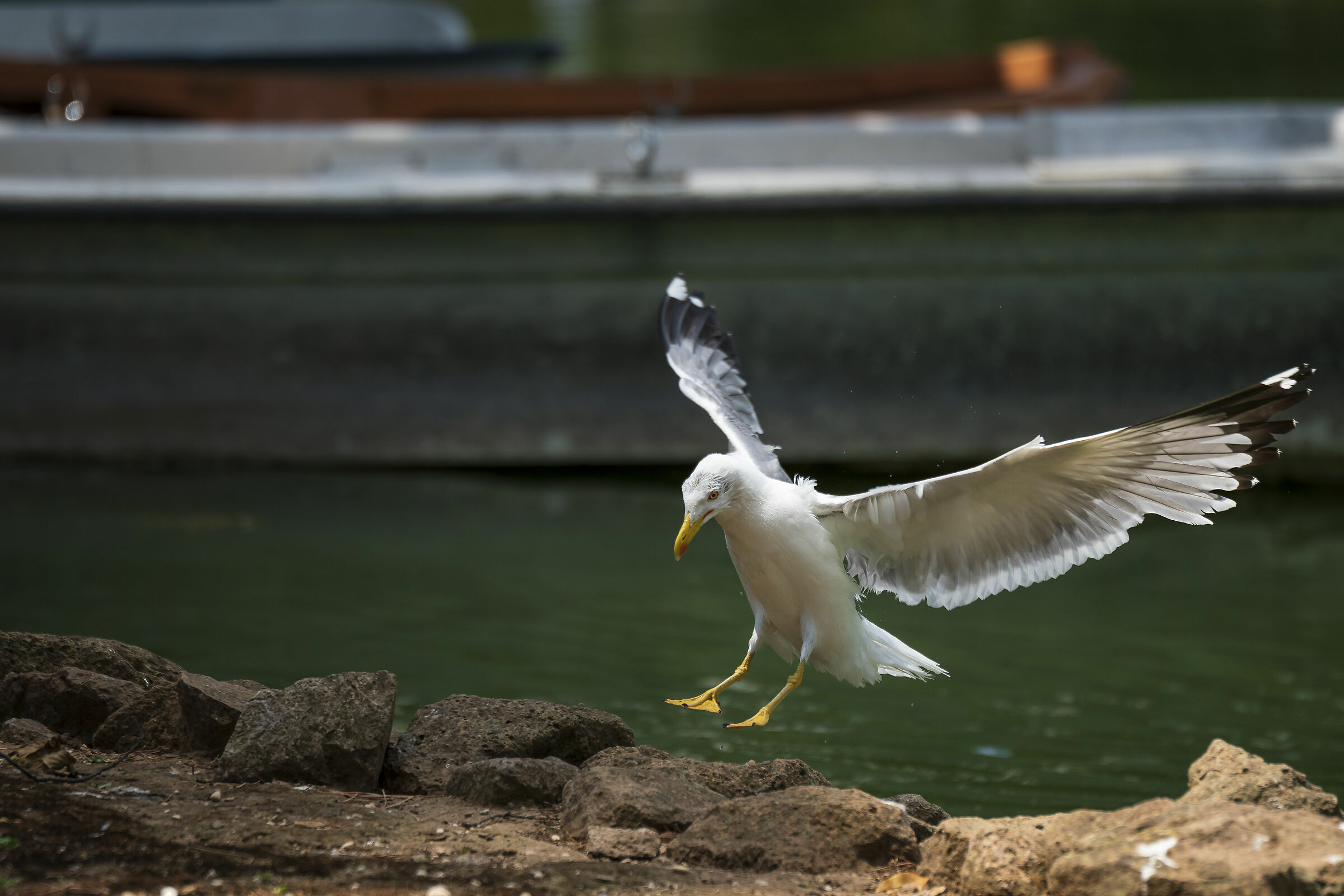 landing cage