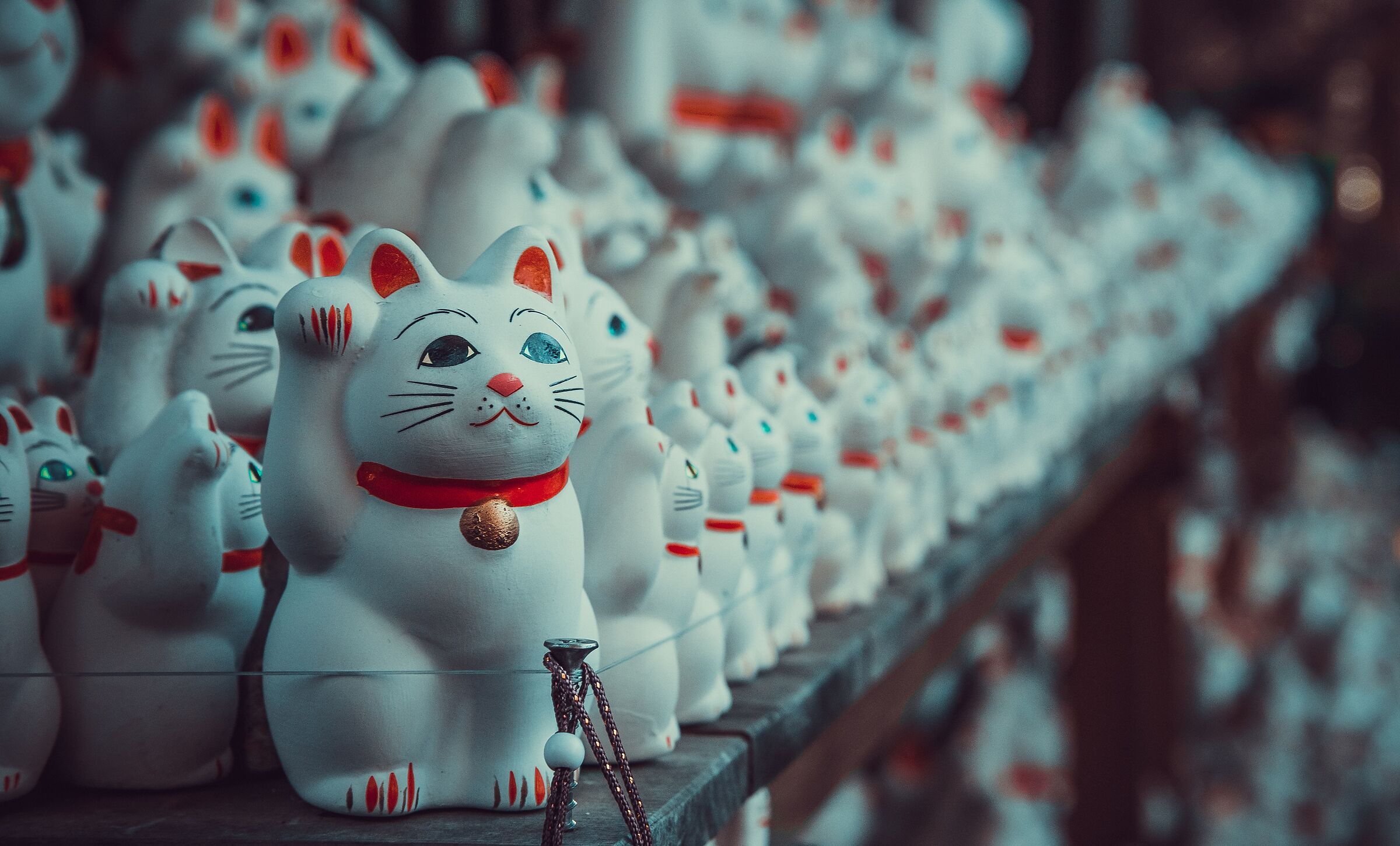 Maneki neko "Gatto della fortuna". Terrificante qu...