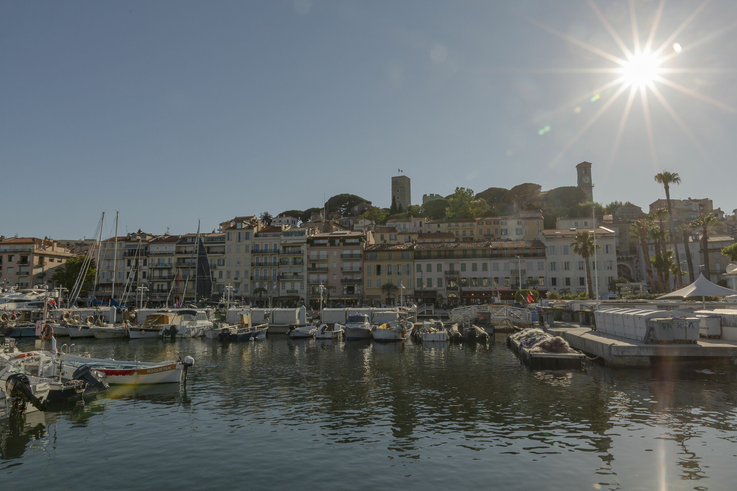 Cannes radiosa