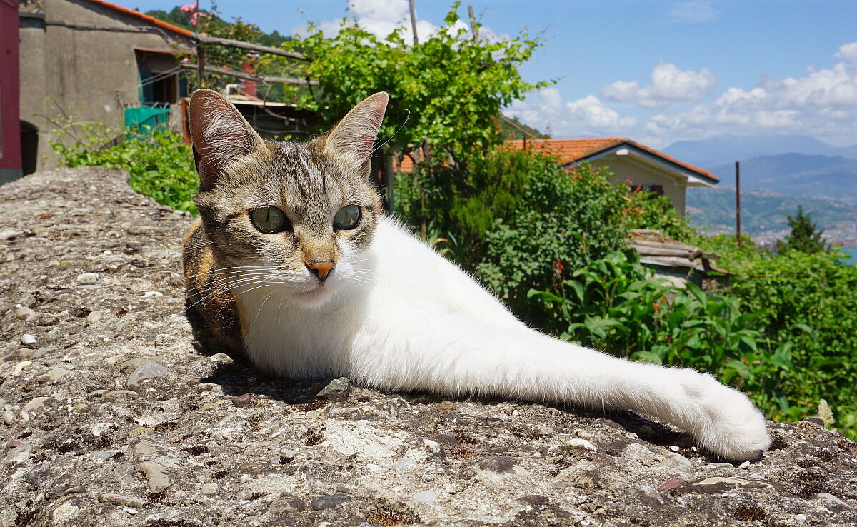 See you from the wall!