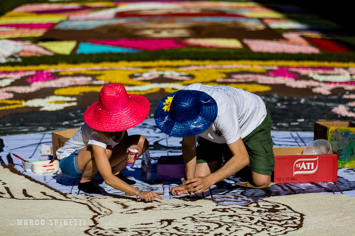 INFIORATA 2019-preparation of the floral carpet