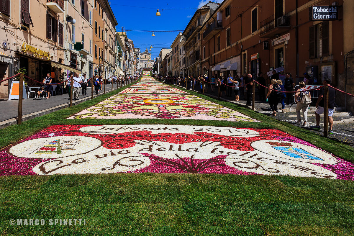 INFIORATA 2019 completed
