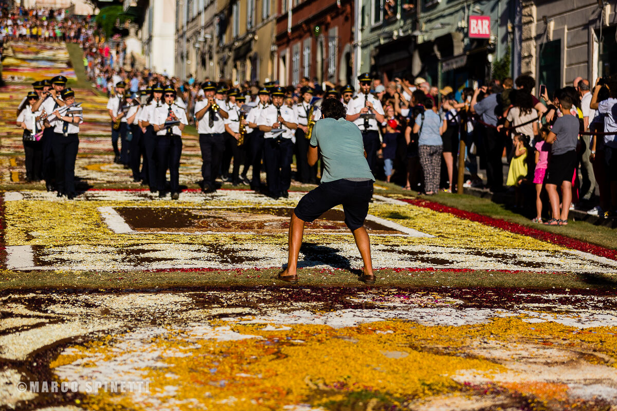 INFIORATA 2019 - the Band - I do is photos and I'm leaving