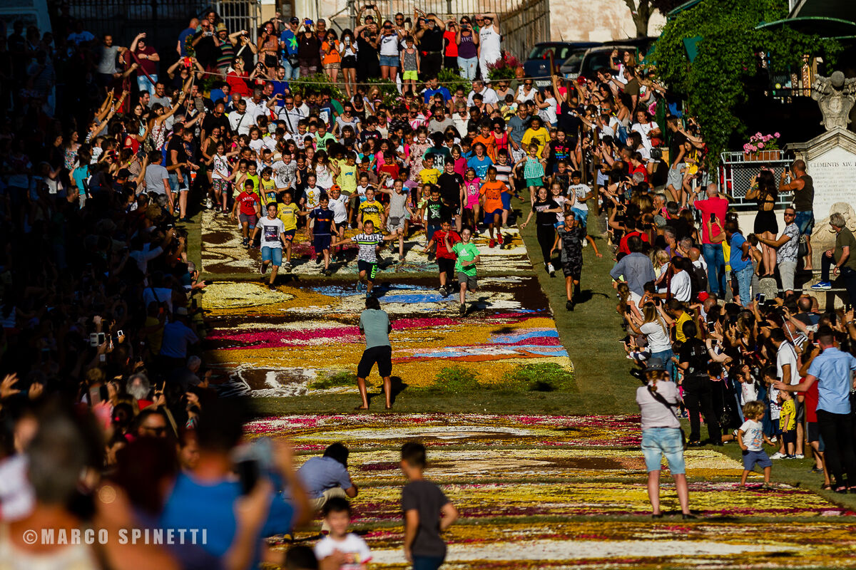 INFIORATA 2019 - I'll take another de photo