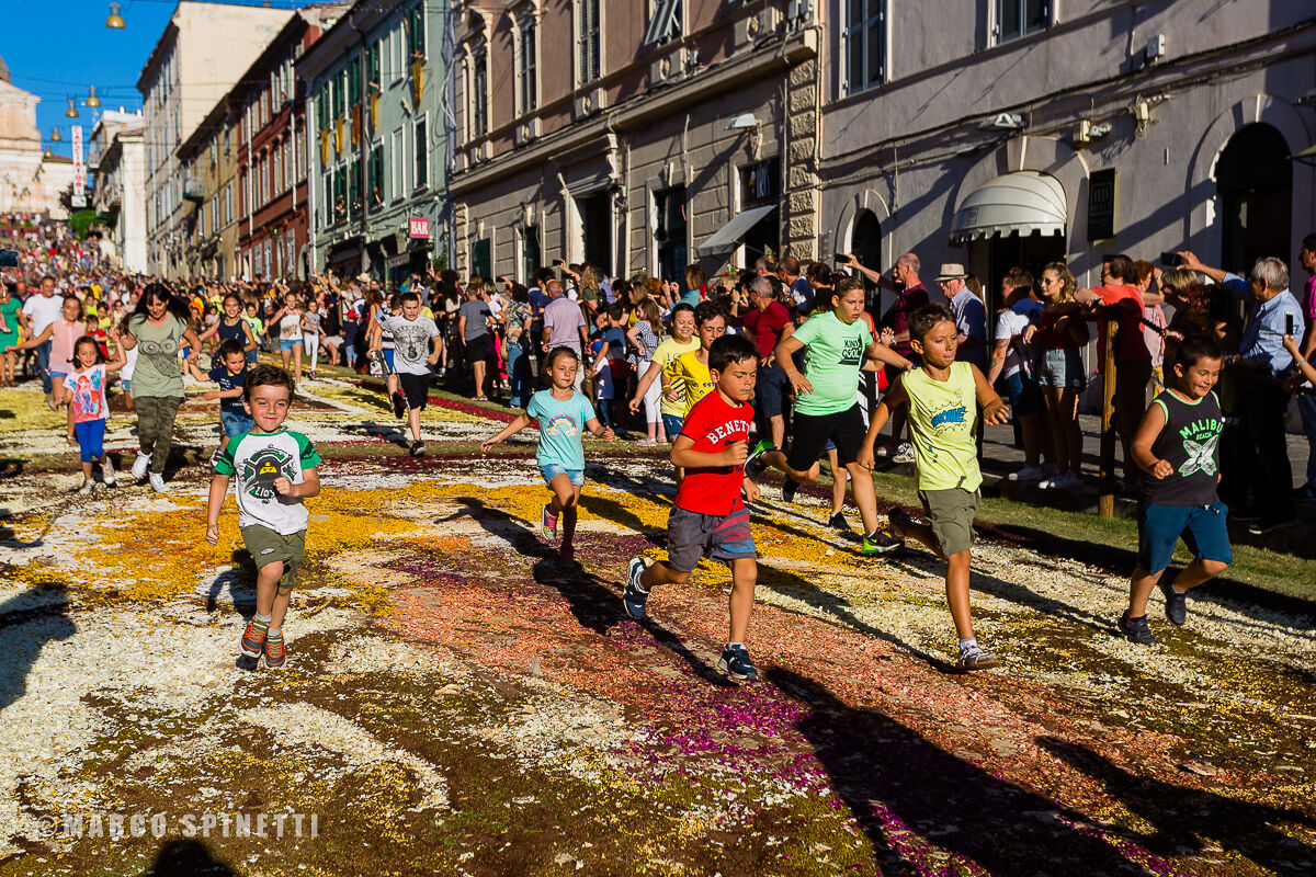 INFIORATA 2019 -shouldering