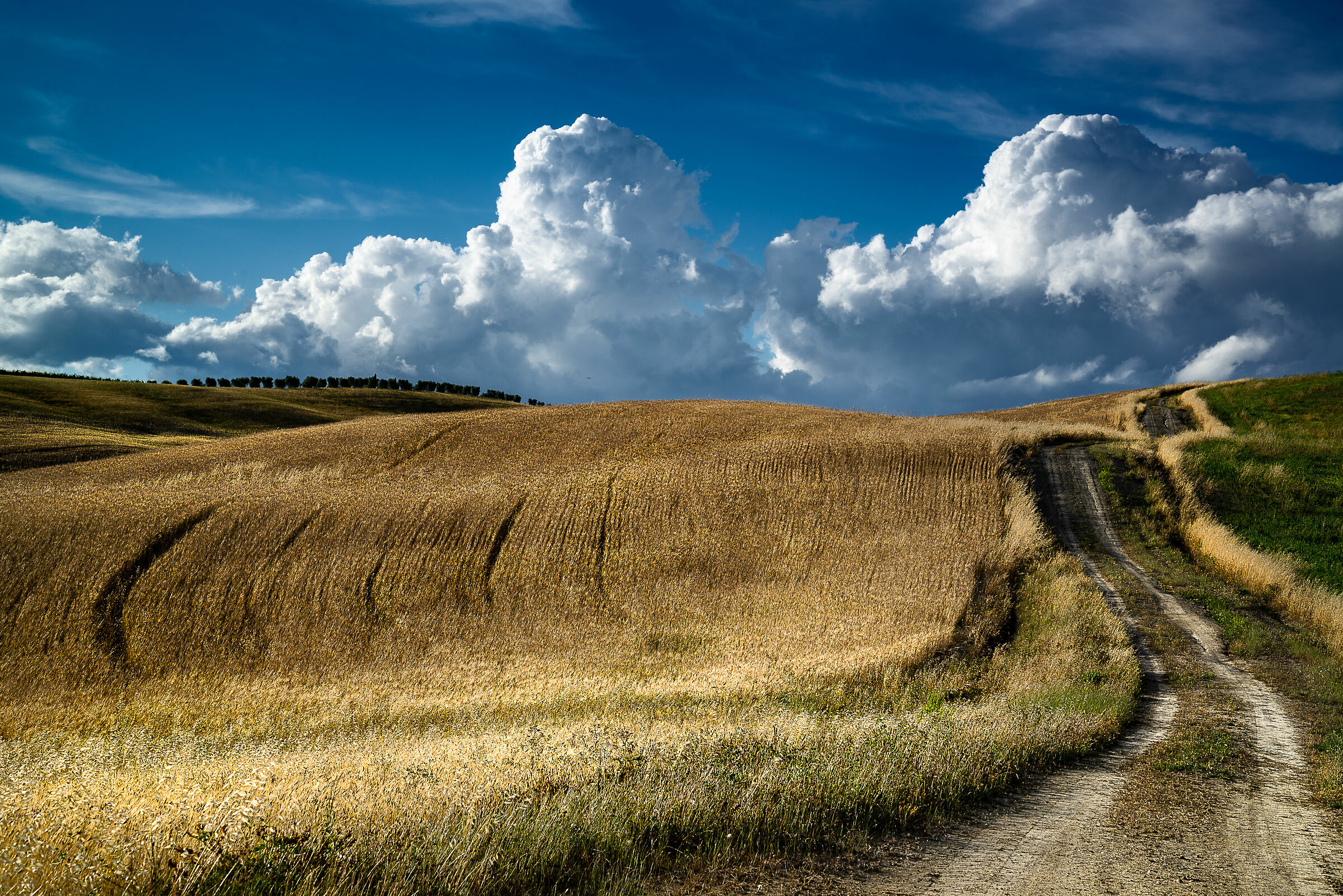 paesaggio dintorni san quirico d'orcia (si)3