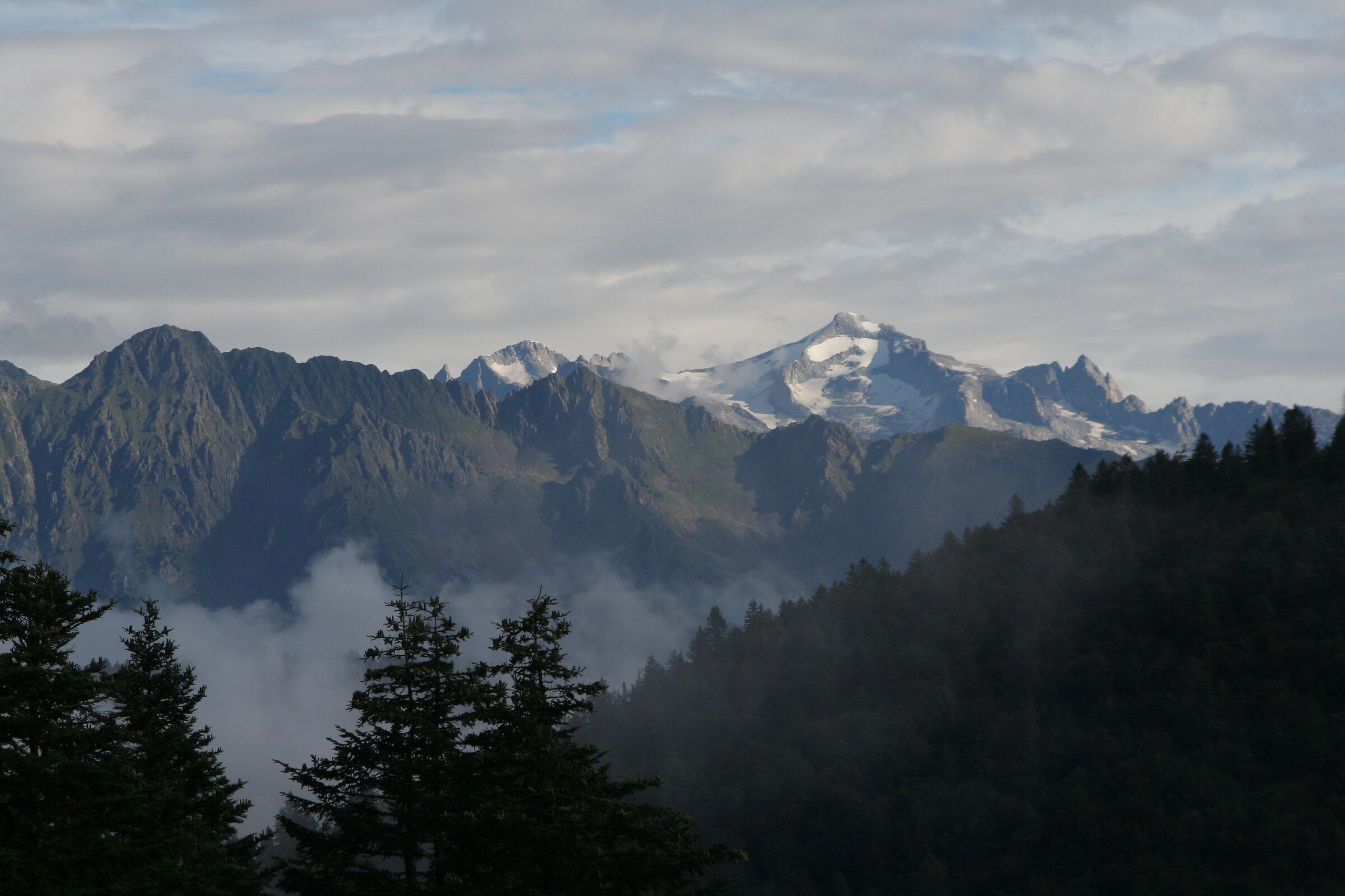 Morning Light, Borzago Valley and Presanella