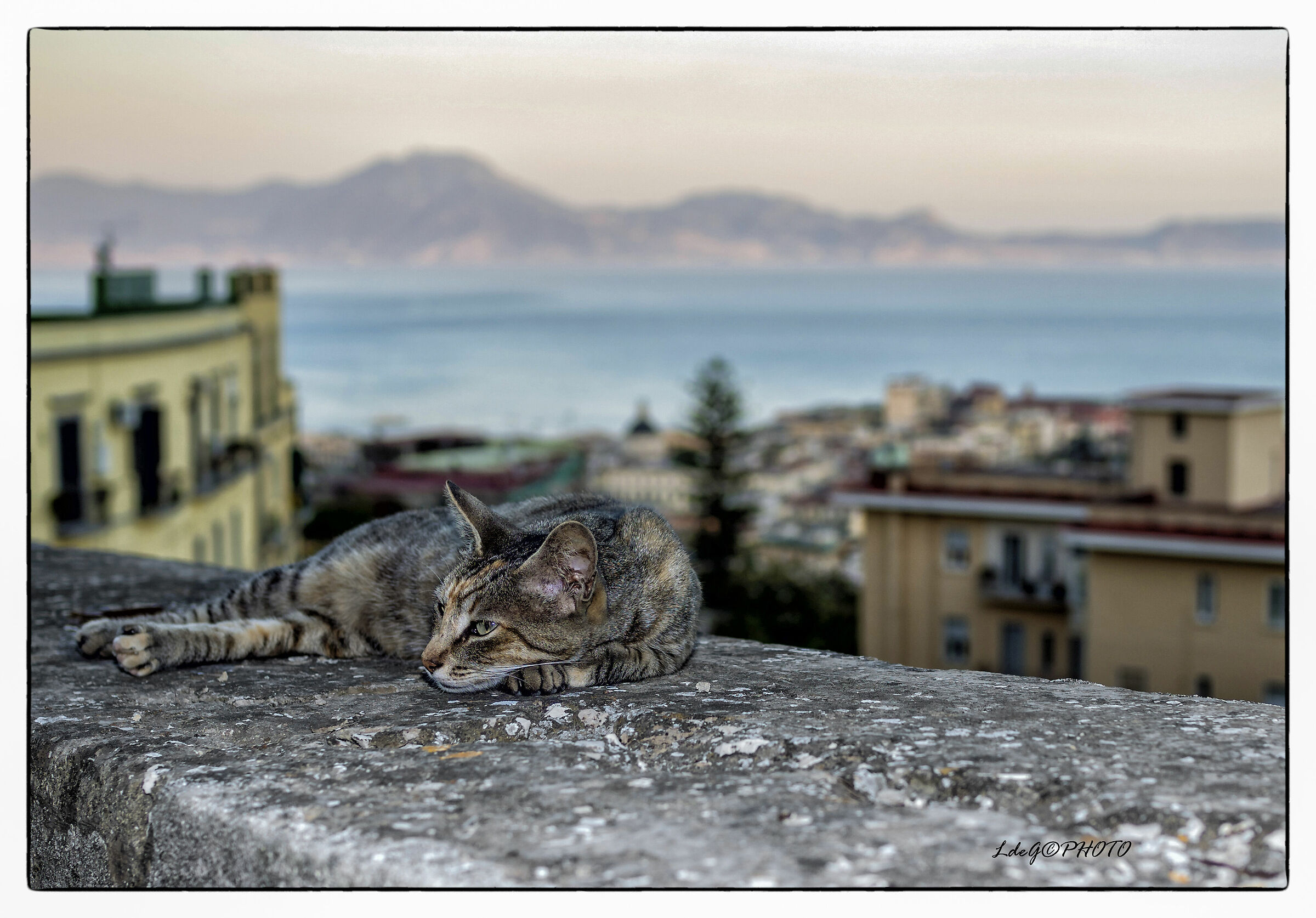 "They lose time with the model... Fools!"