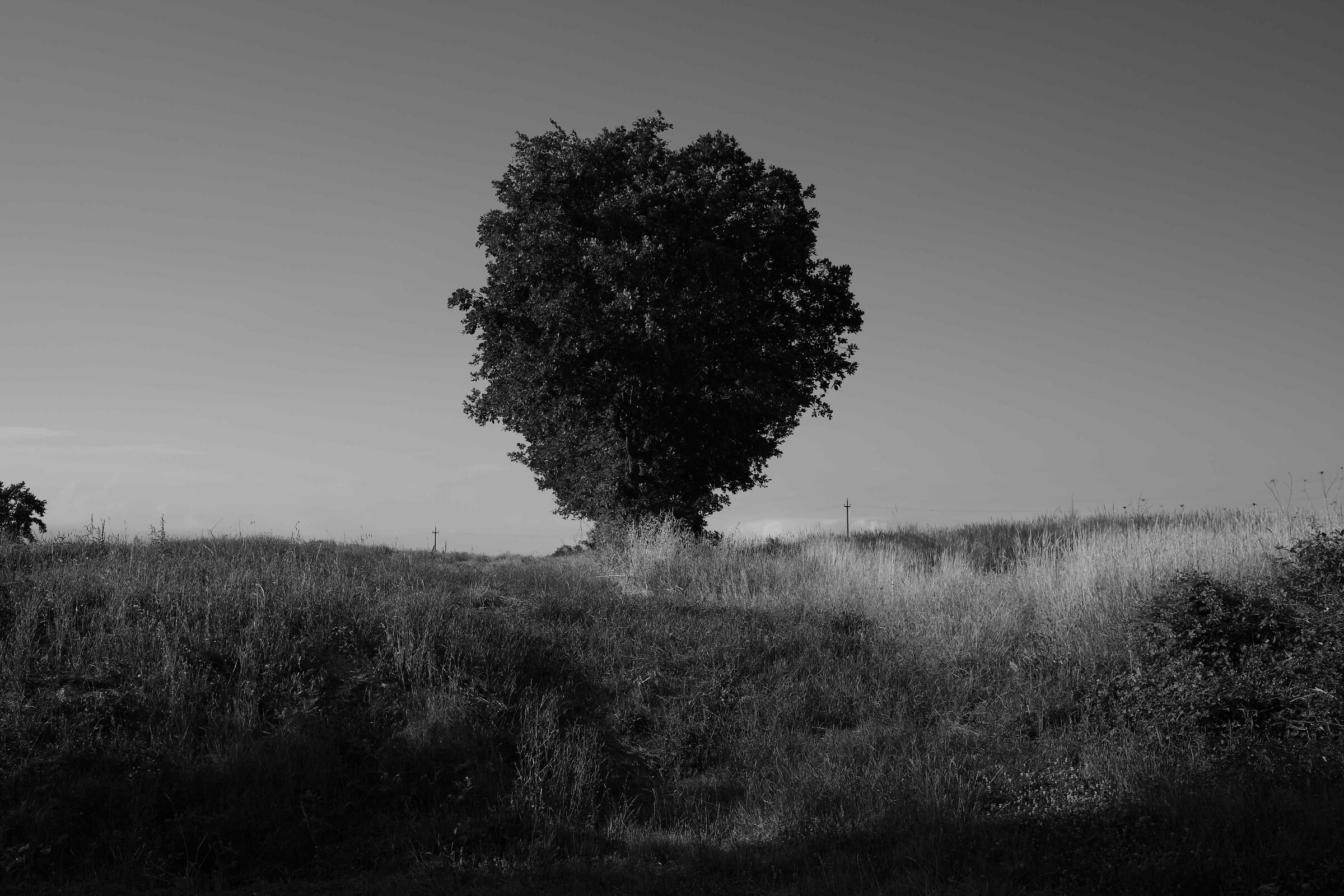 Untitled Photo