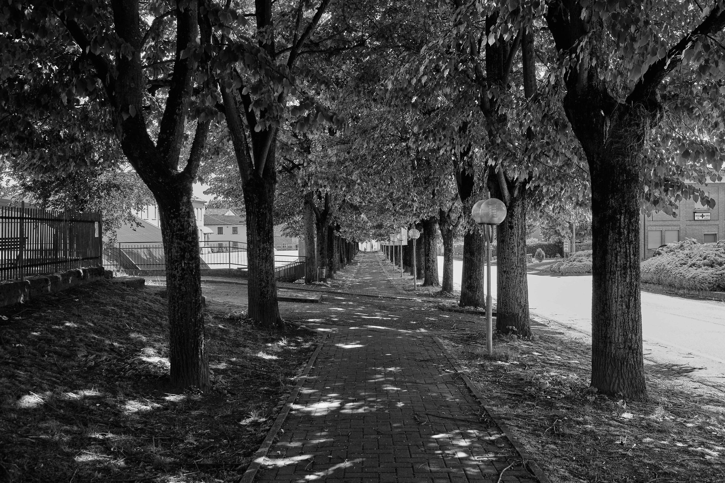 Untitled Photo
