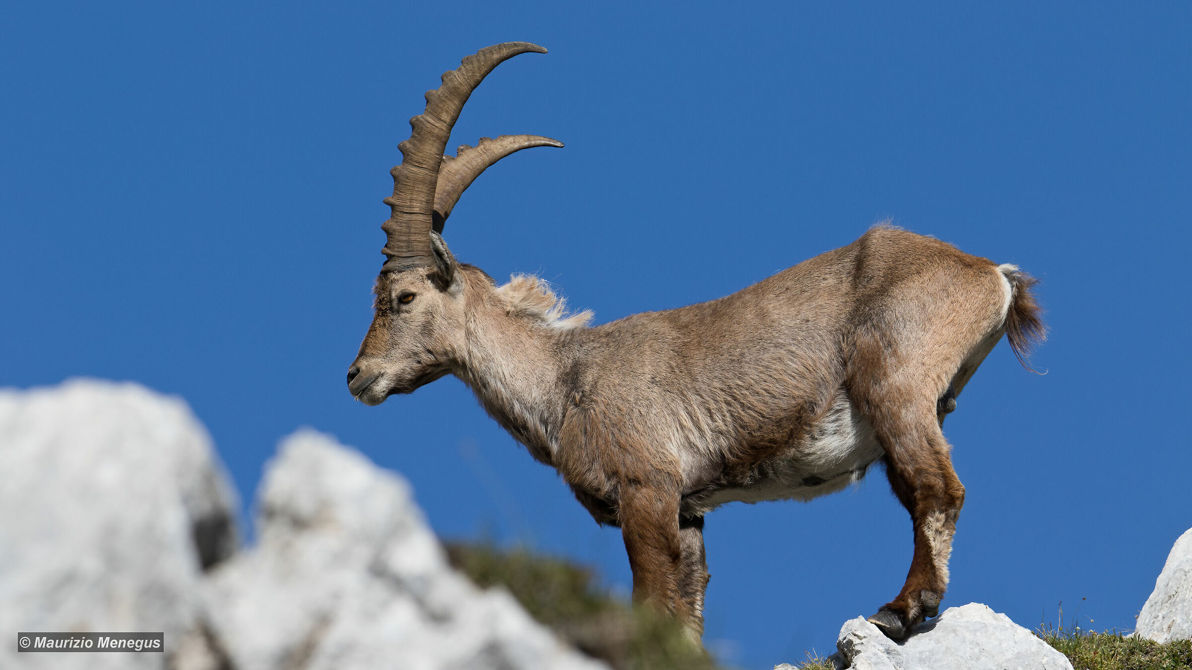 Giovane maschio contro il cielo