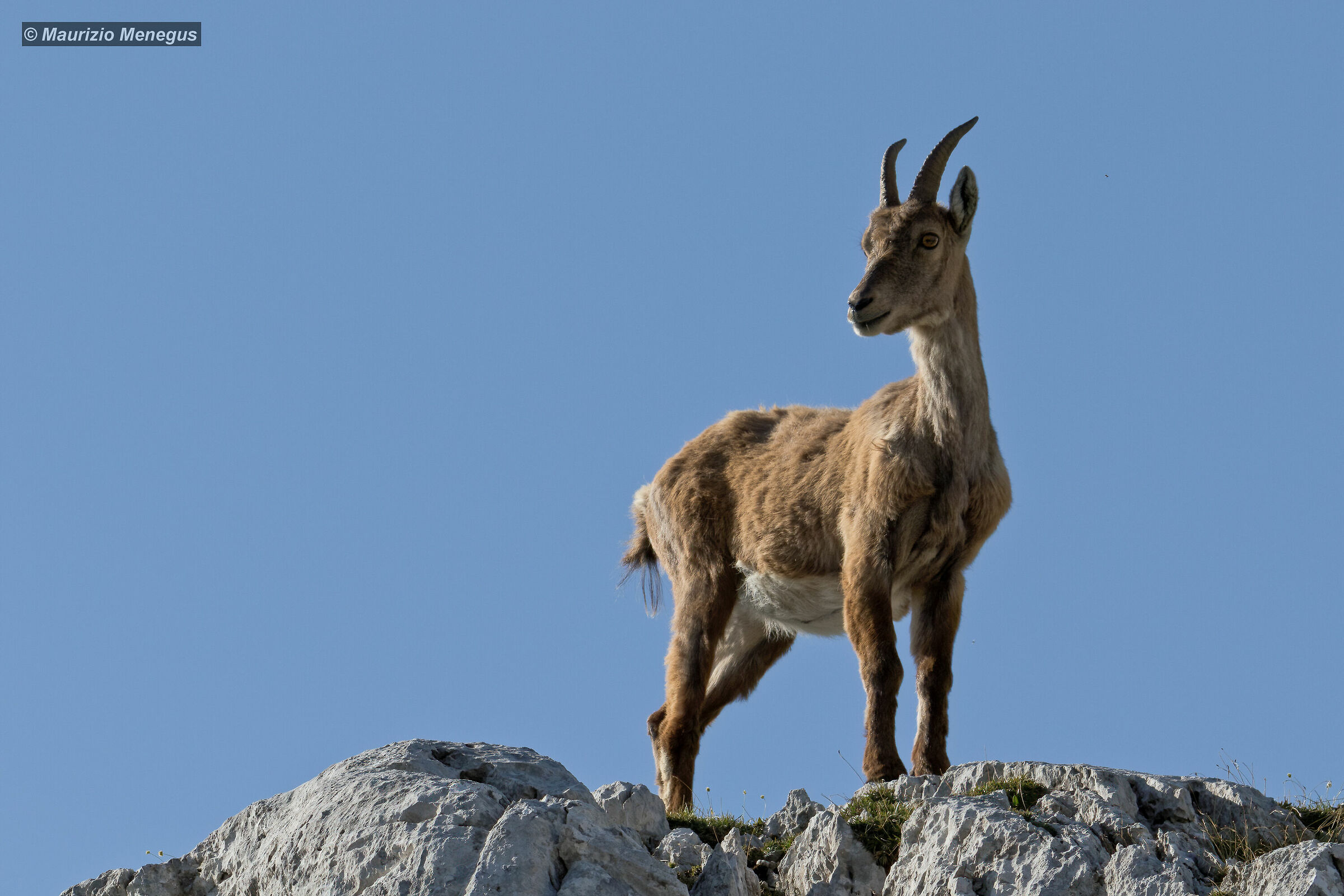 Femmina contro il cielo