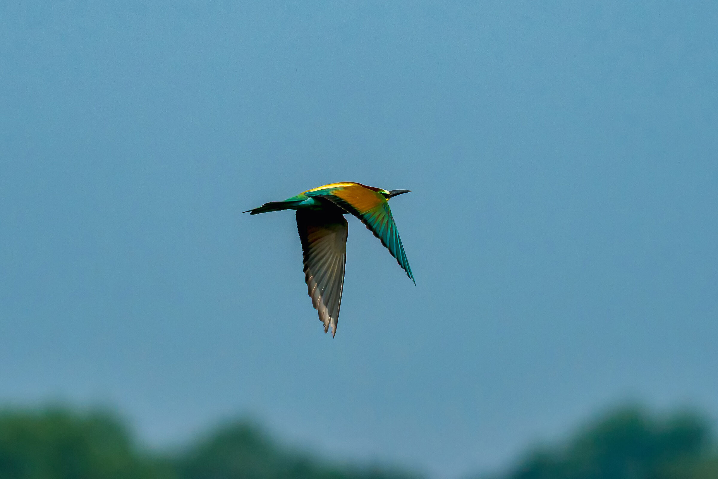 Beautiful and colorful!