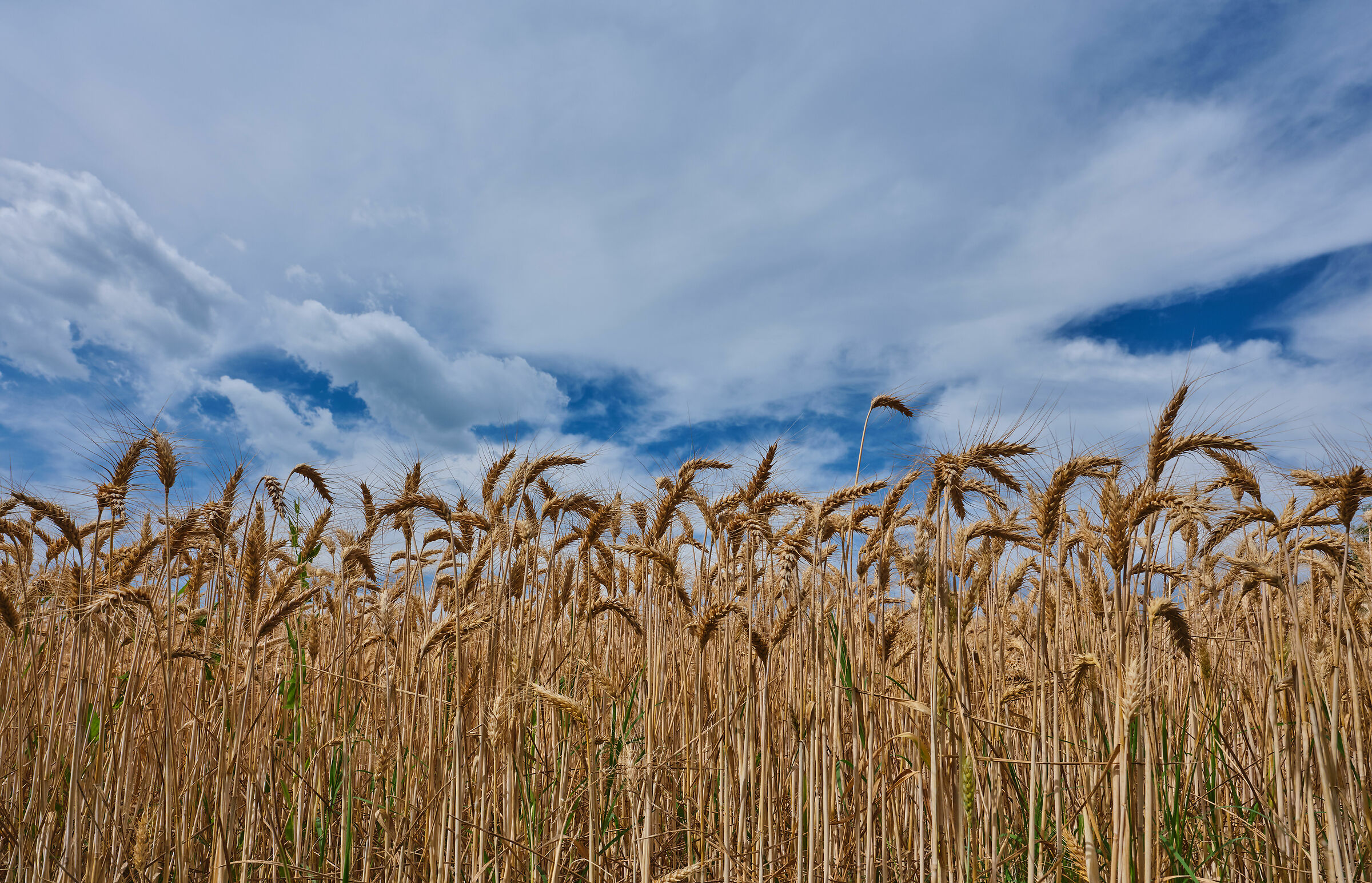 Ultimi giorni di primavera.