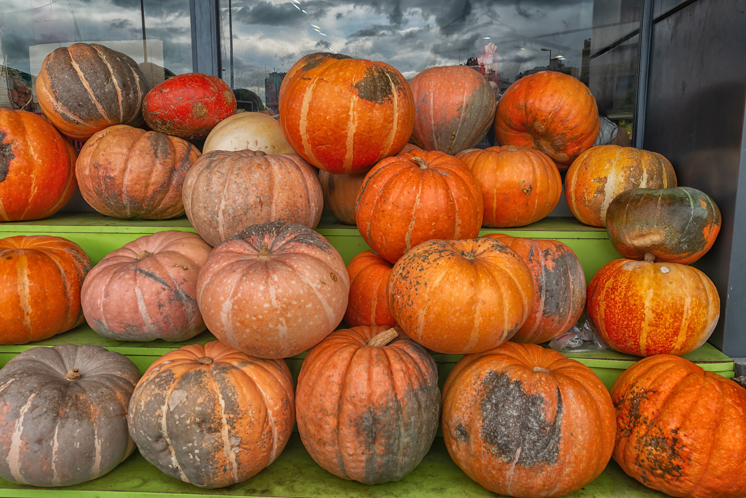 Pumkins presso Fadi's Shop