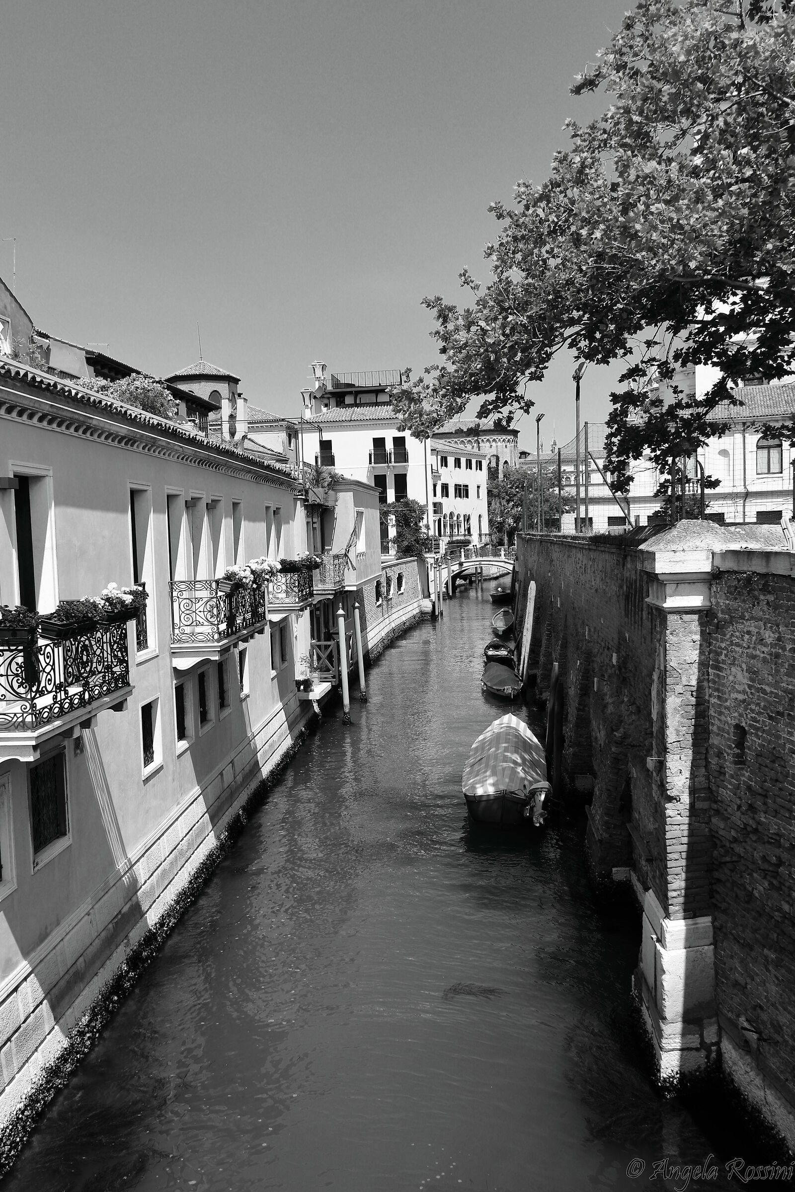 Venezia