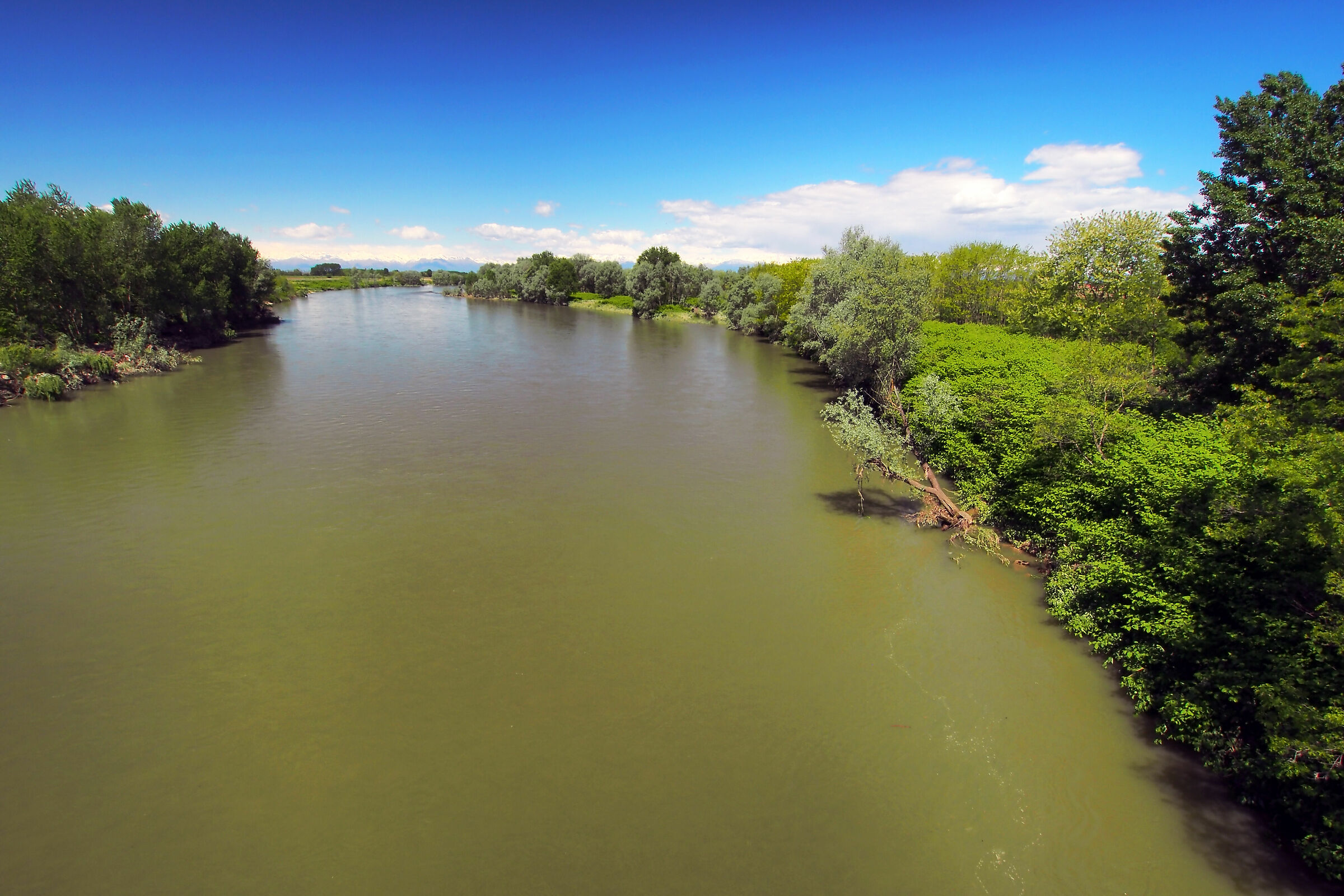 Slow flows the river