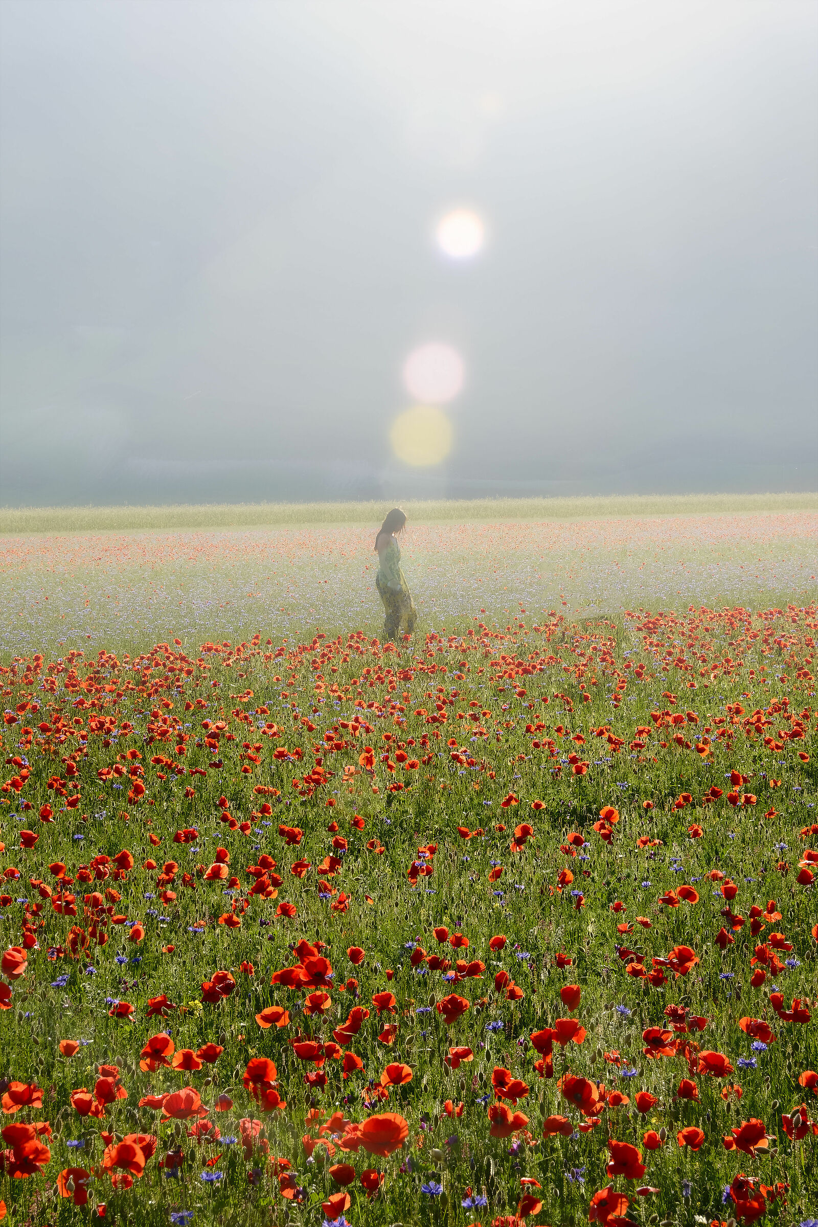 castelluccio di norcia