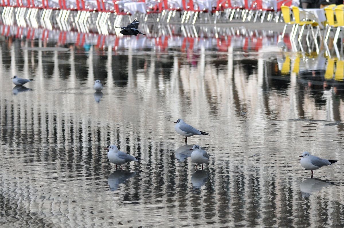 High water in Venice but not for all