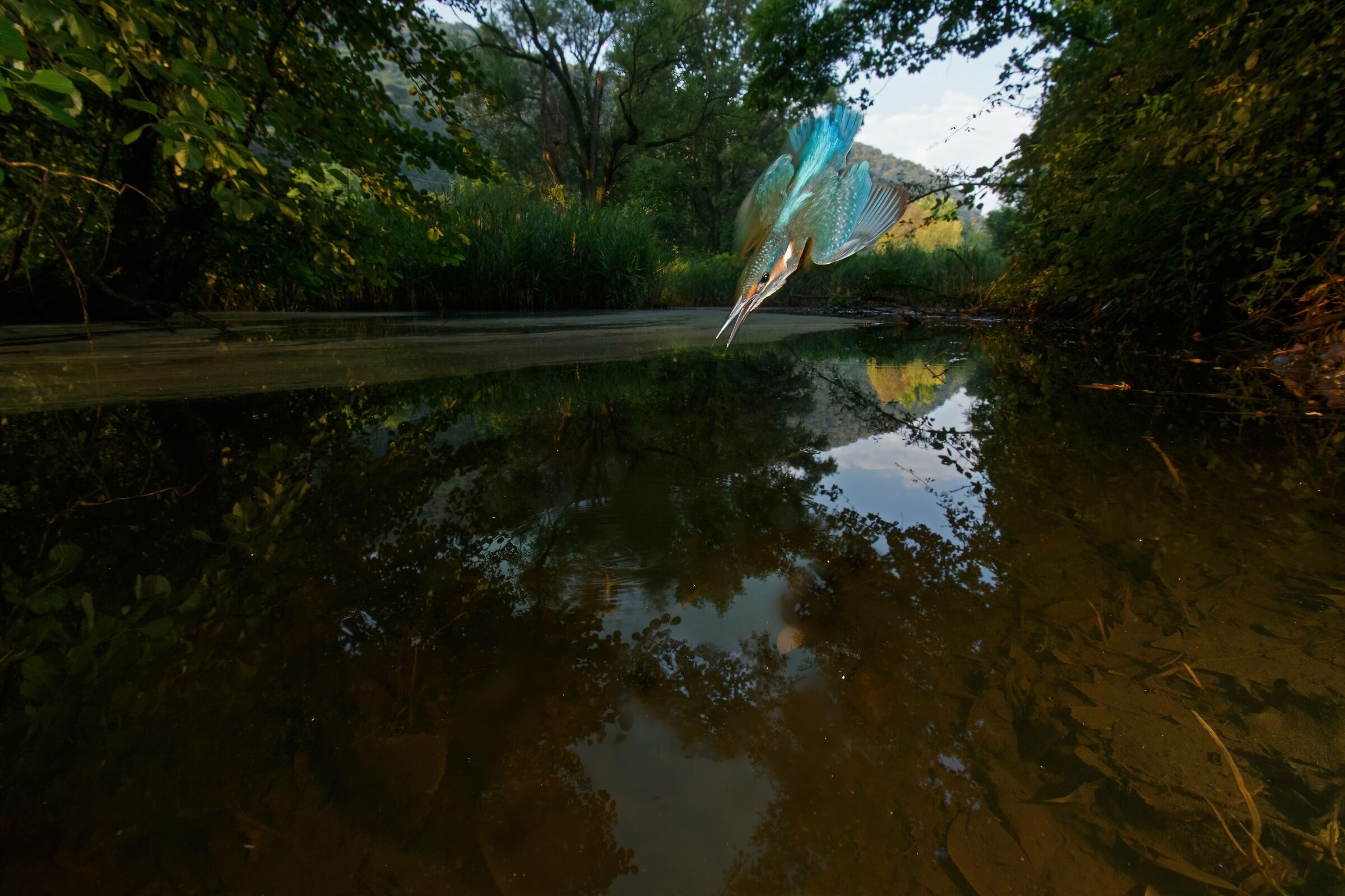 La mia palude ..Martino 15mm