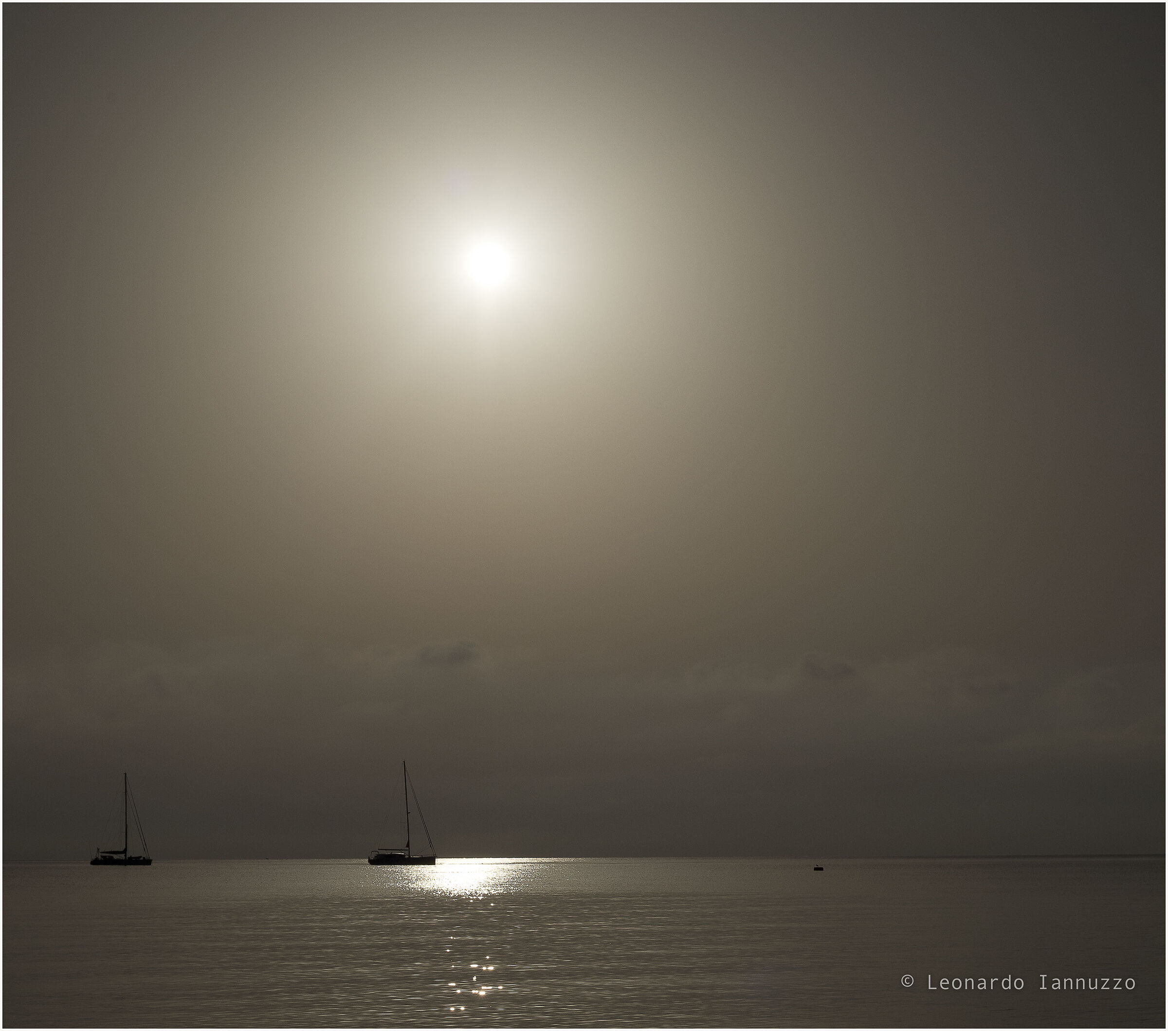 moon light..