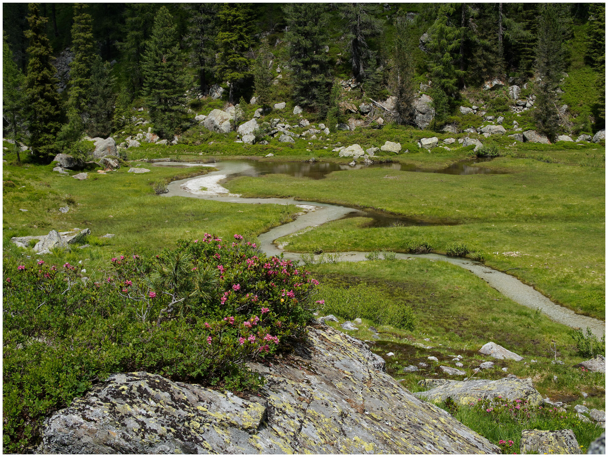 Caldenave Plain - Val Campelle