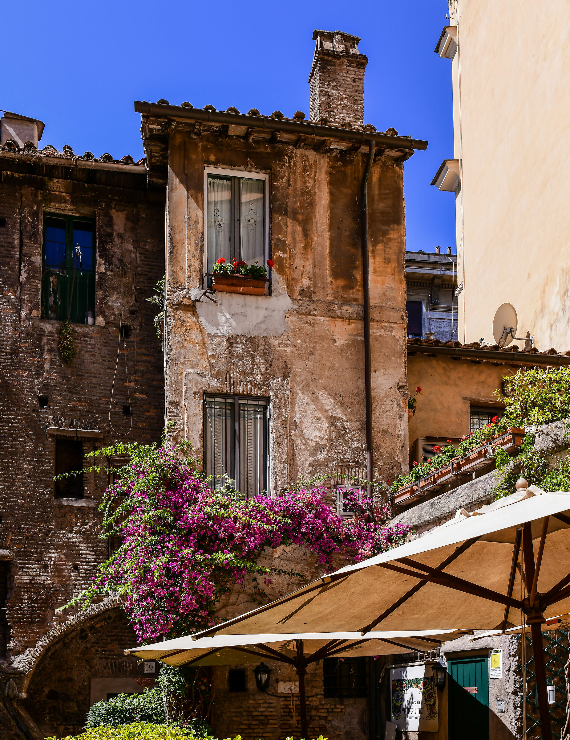 Rome - Behind the Portico of Octavia