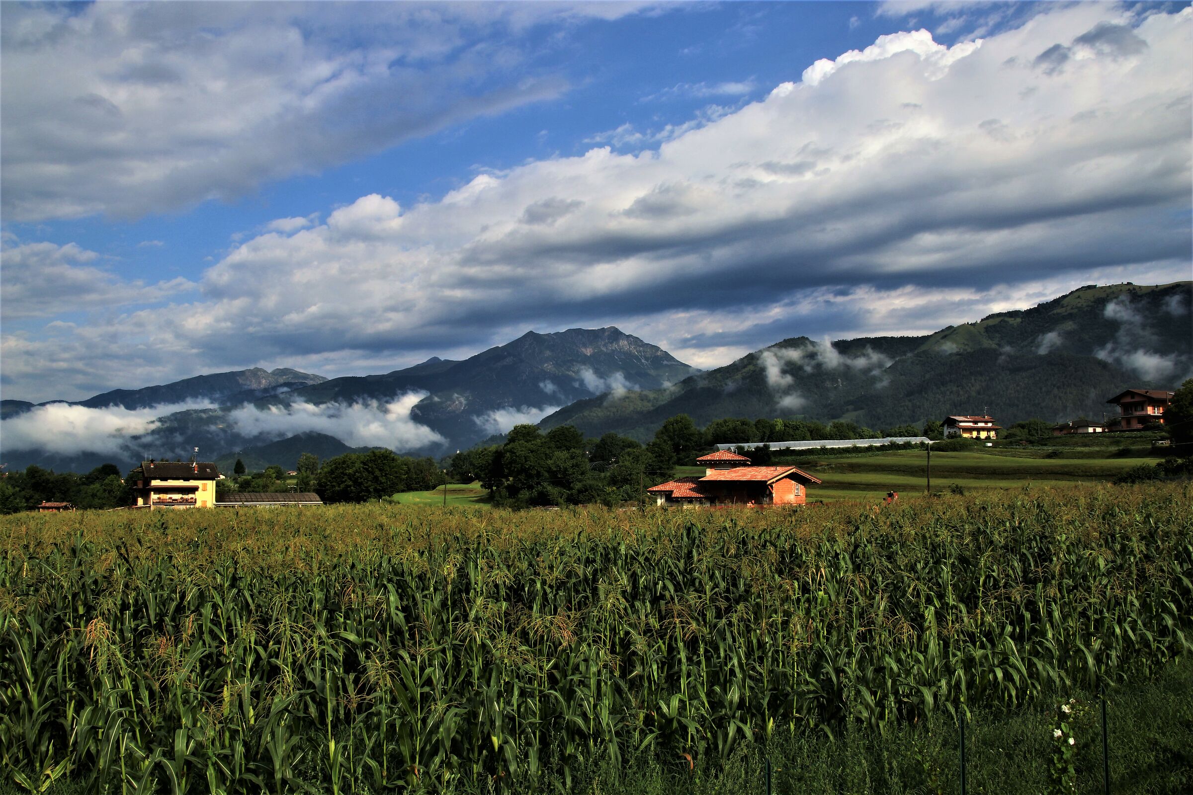 Dopo il temporale mattutino