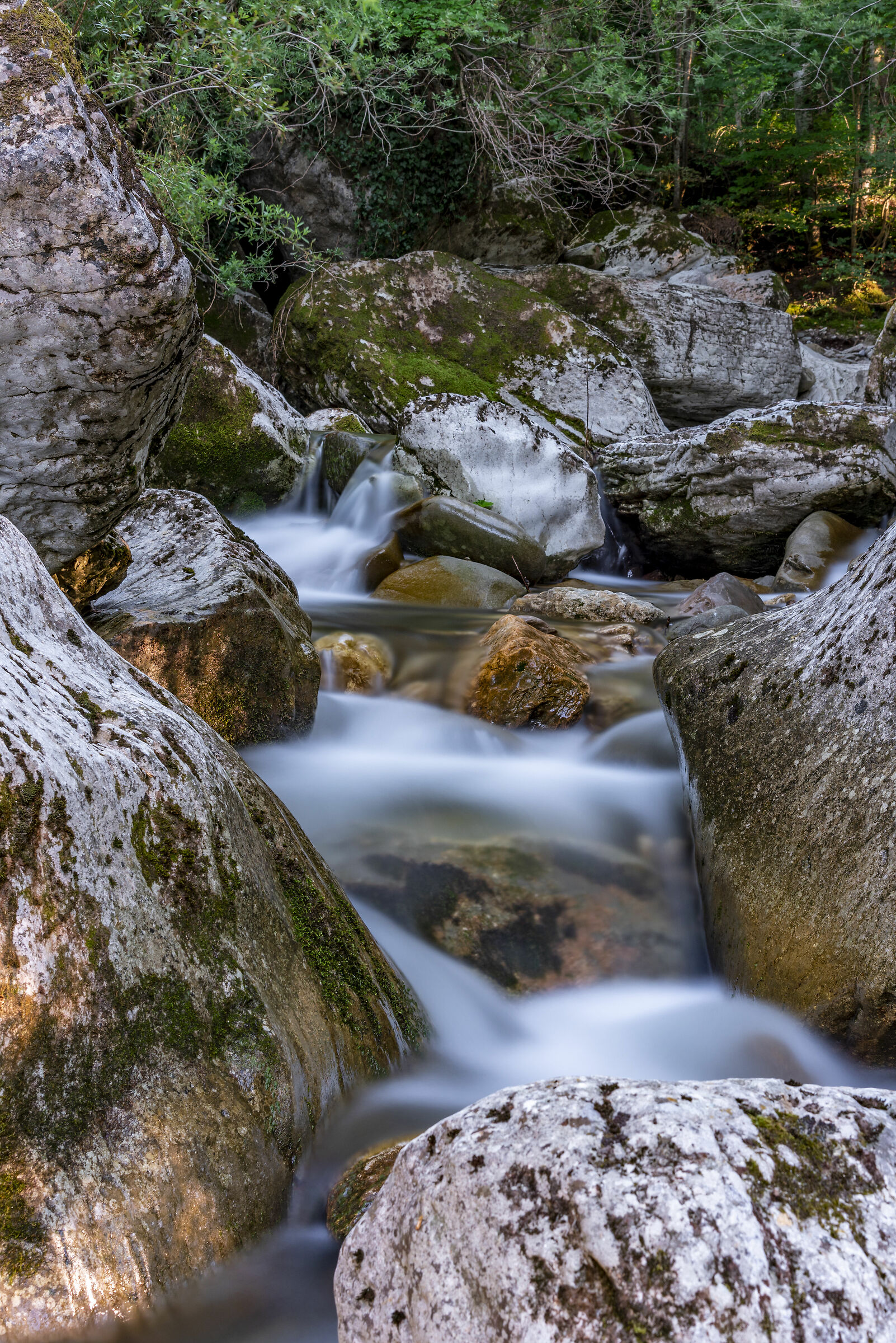 ruscello di monatgna