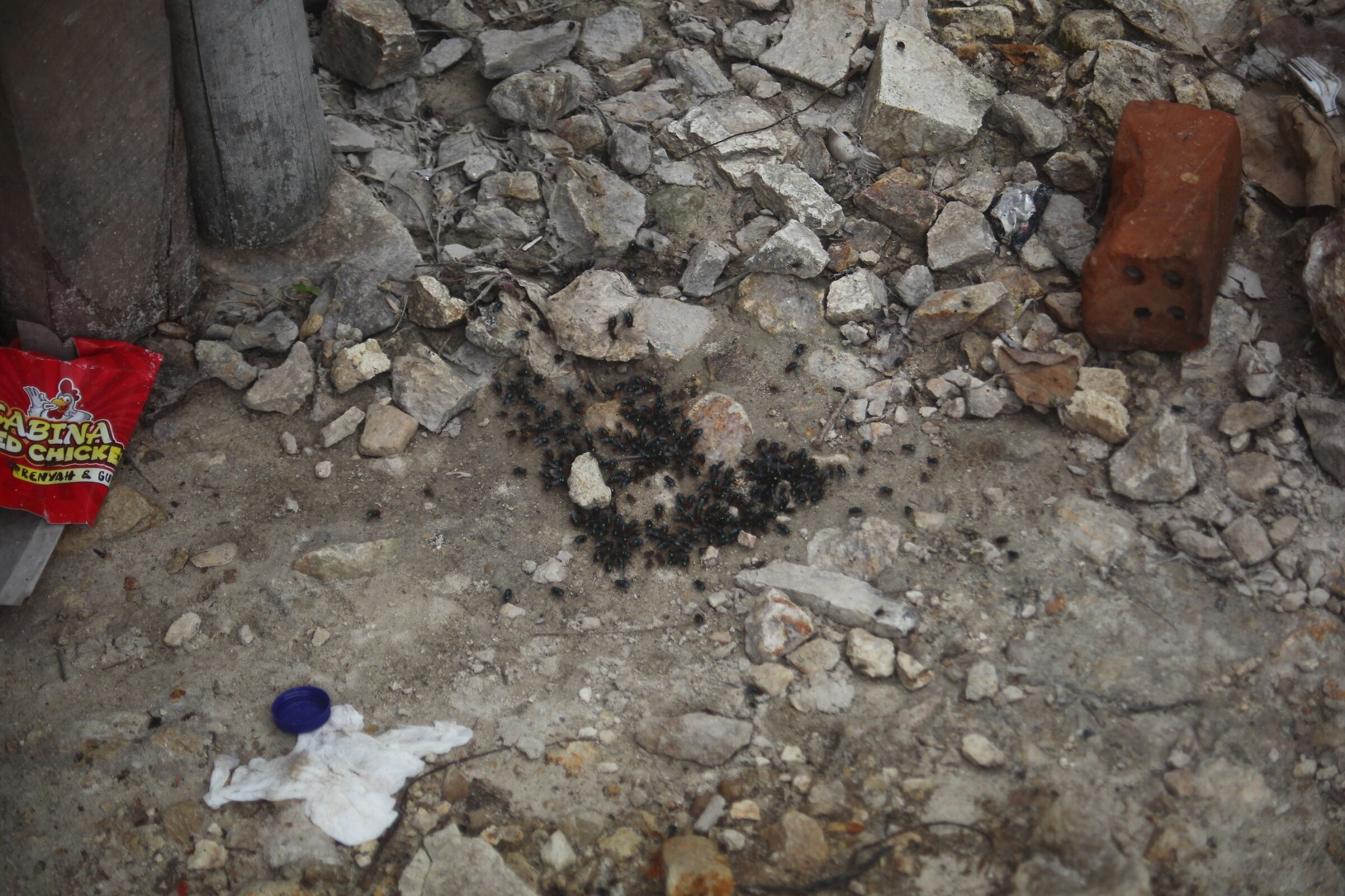 La sporcizia dal mare...