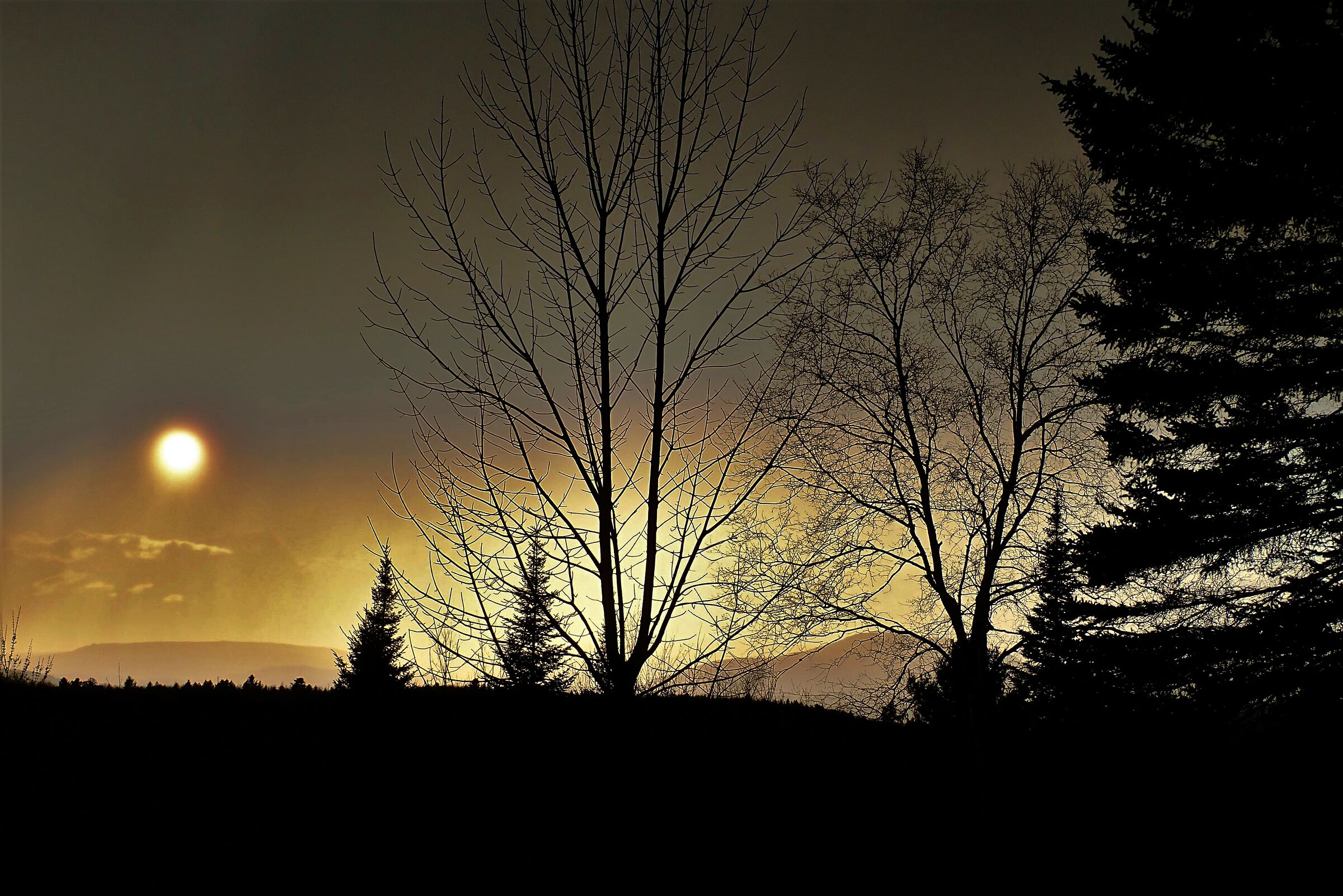 Alla fine della giornata