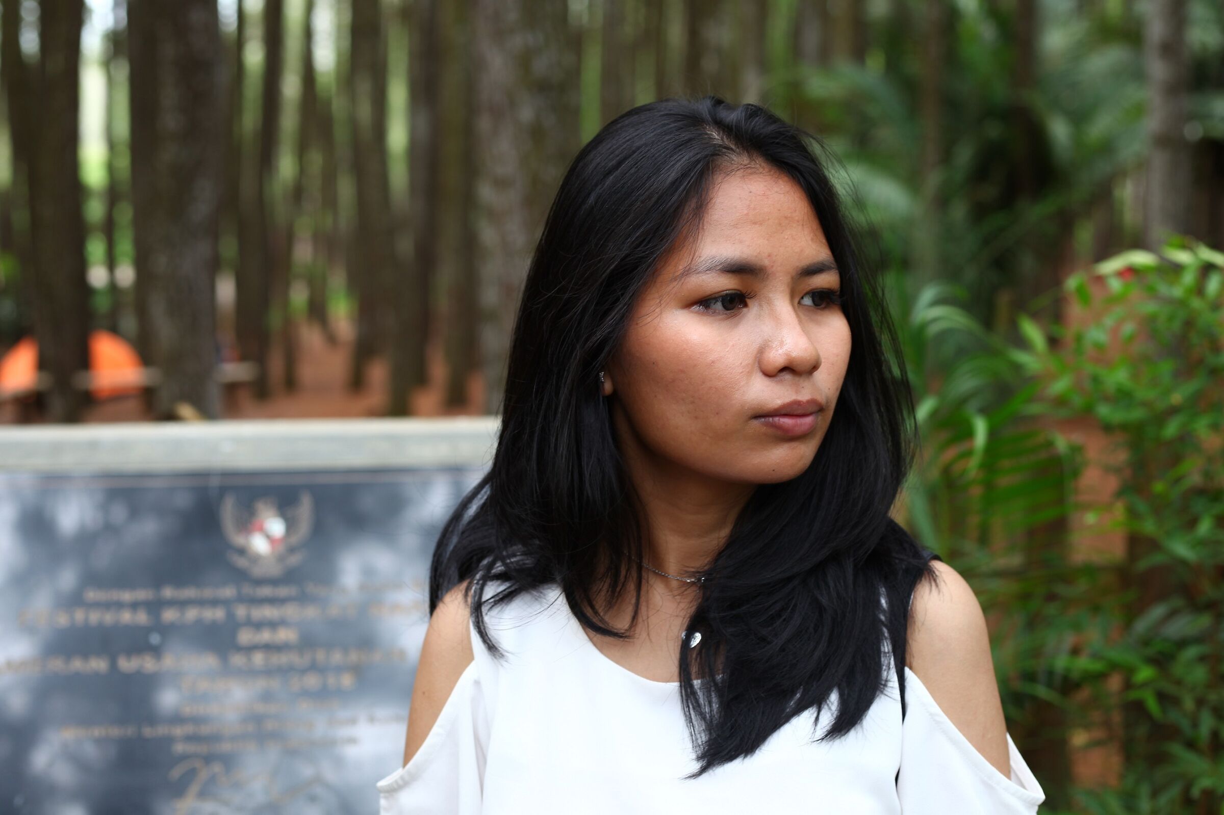 Rarissima pineta in Indonesia