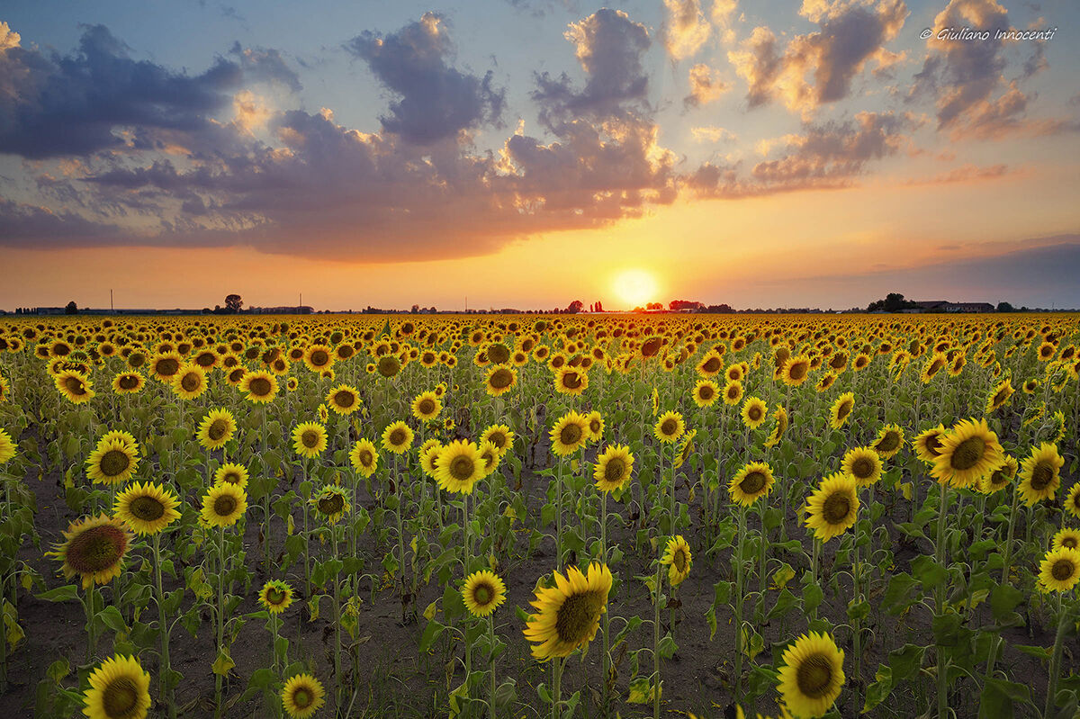 A night in the countryside