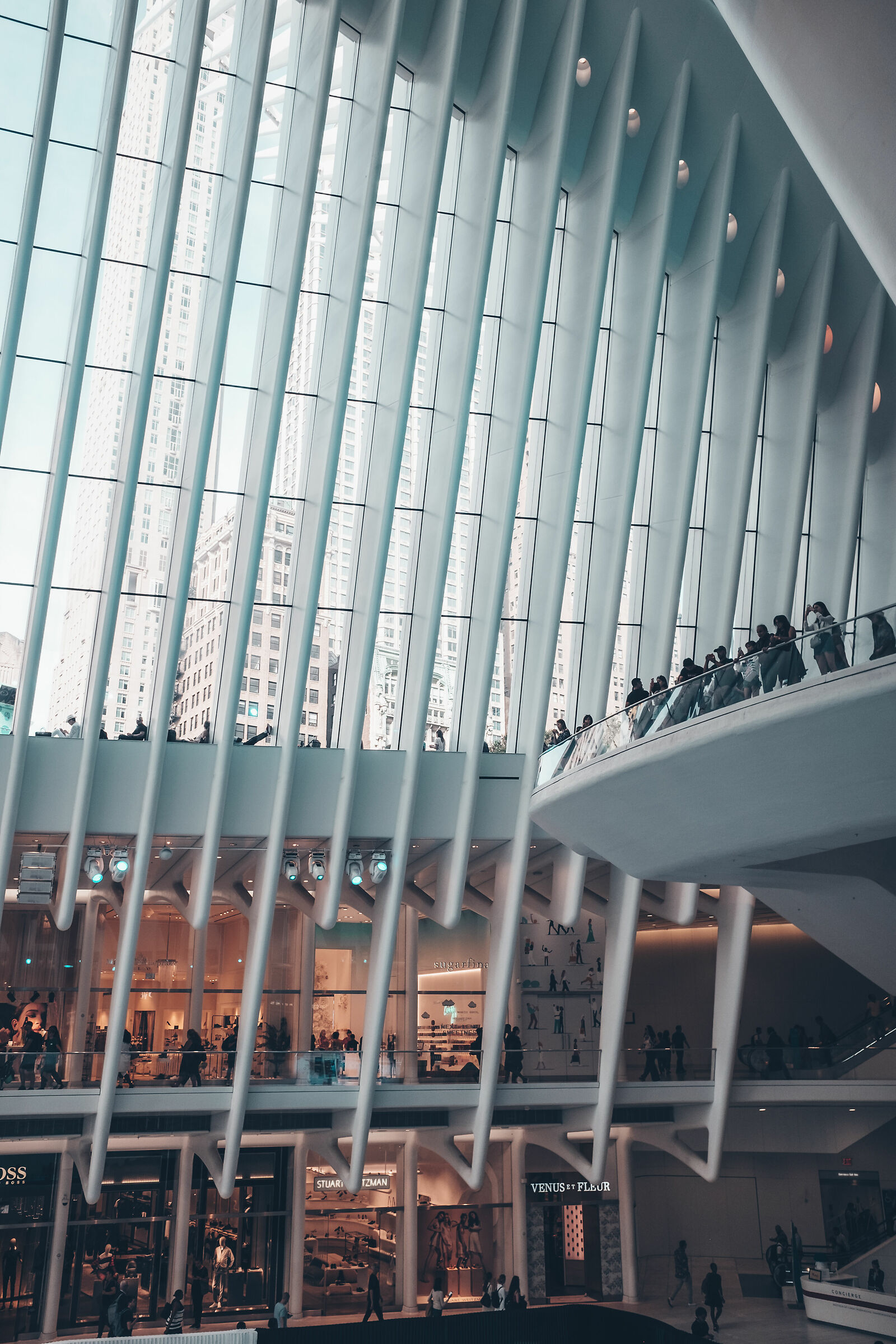 NYC - Oculus Station