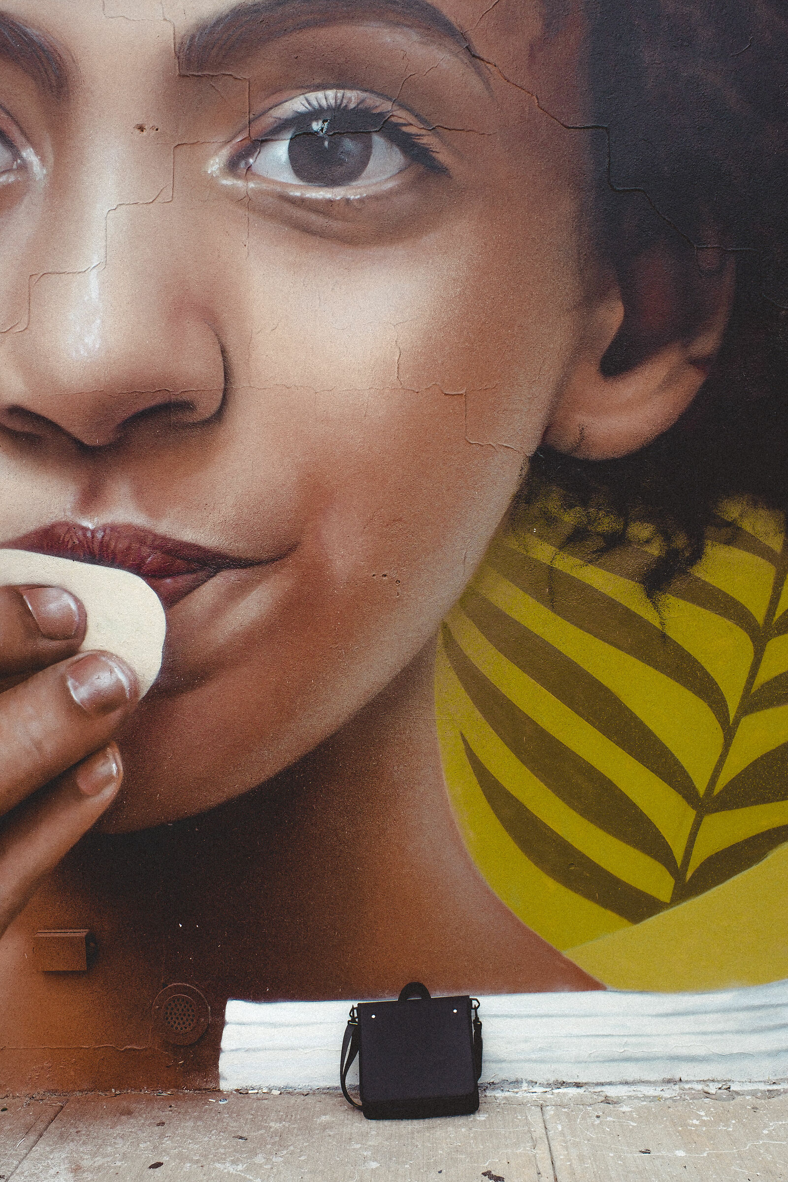 NYC - Bushwick collection