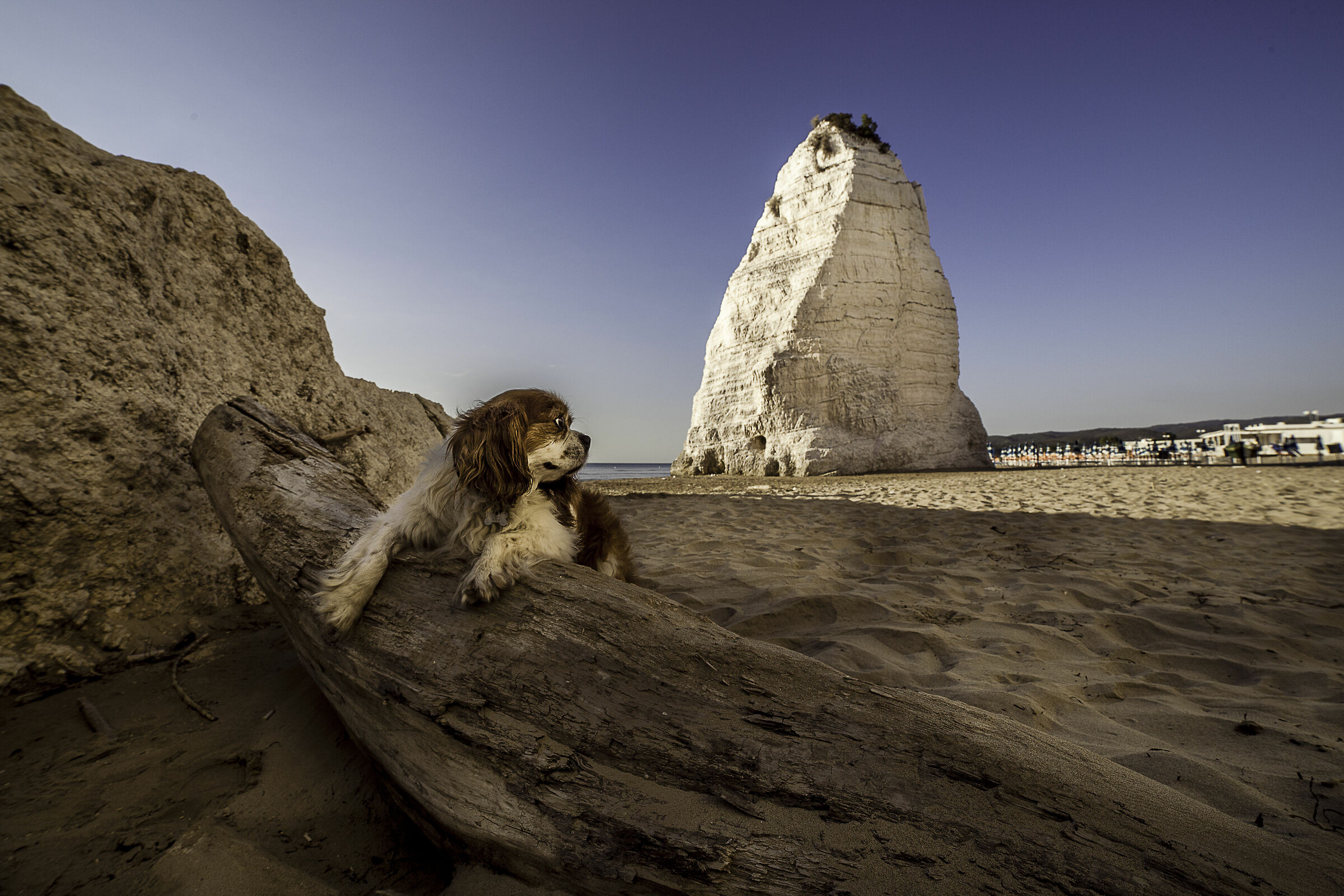 il guardiano di pizzomunno