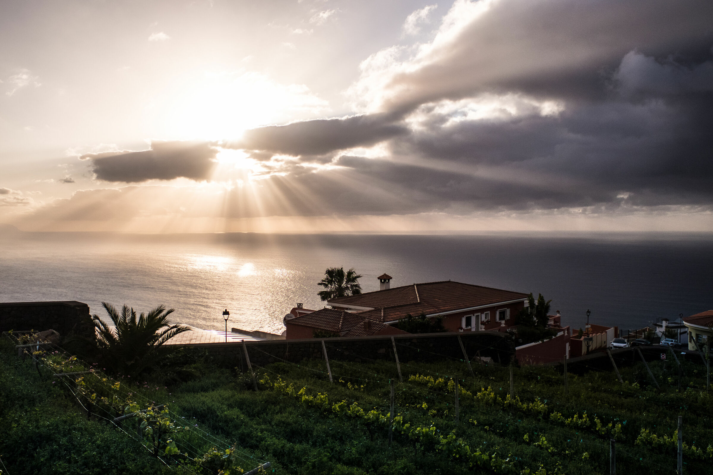 tenerife - El Sauzal