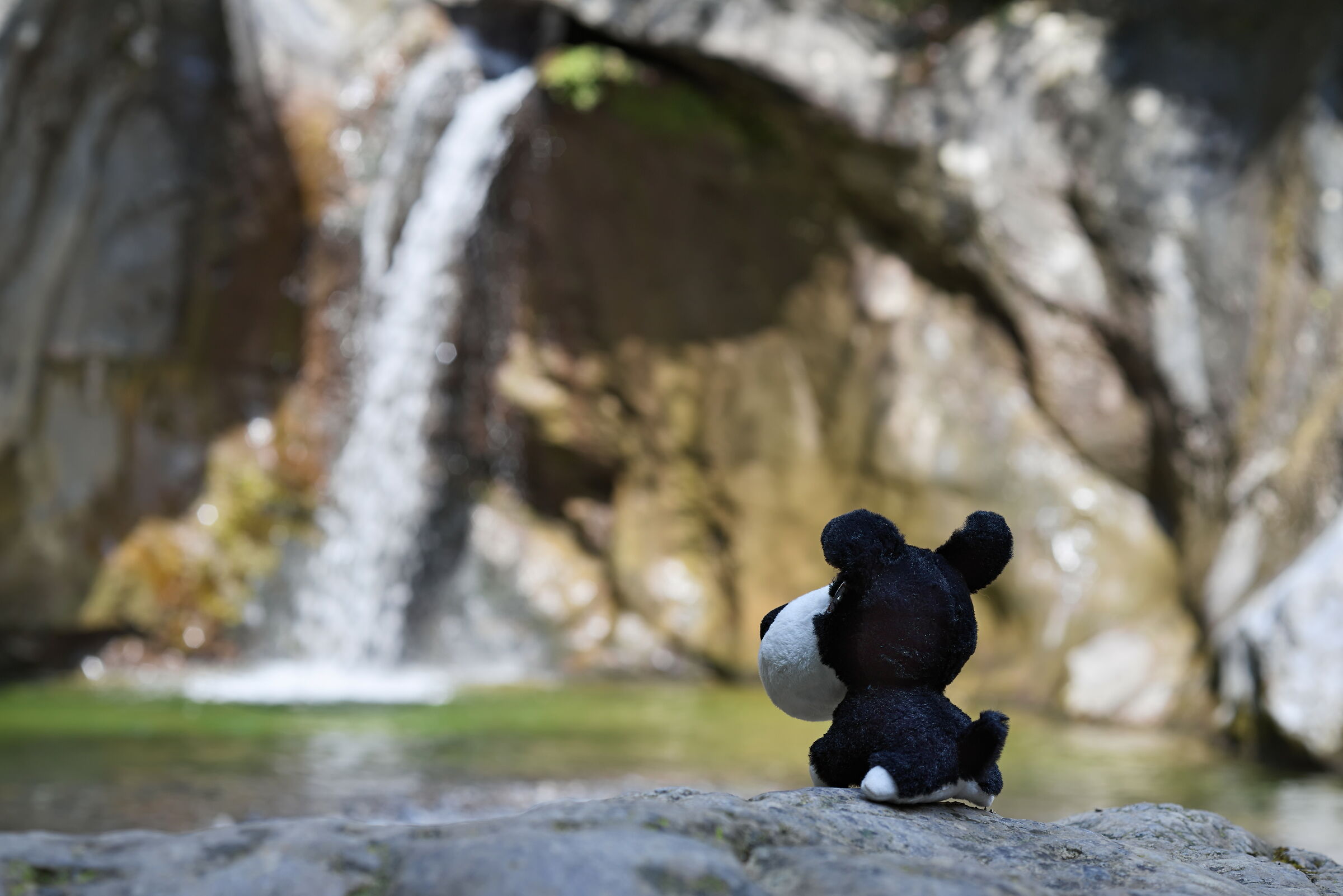 Range visiting Begna Falls