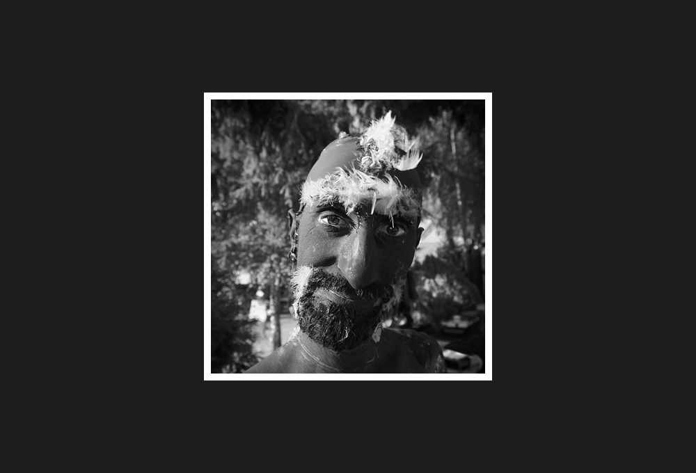 dancing with wild boars, 2009