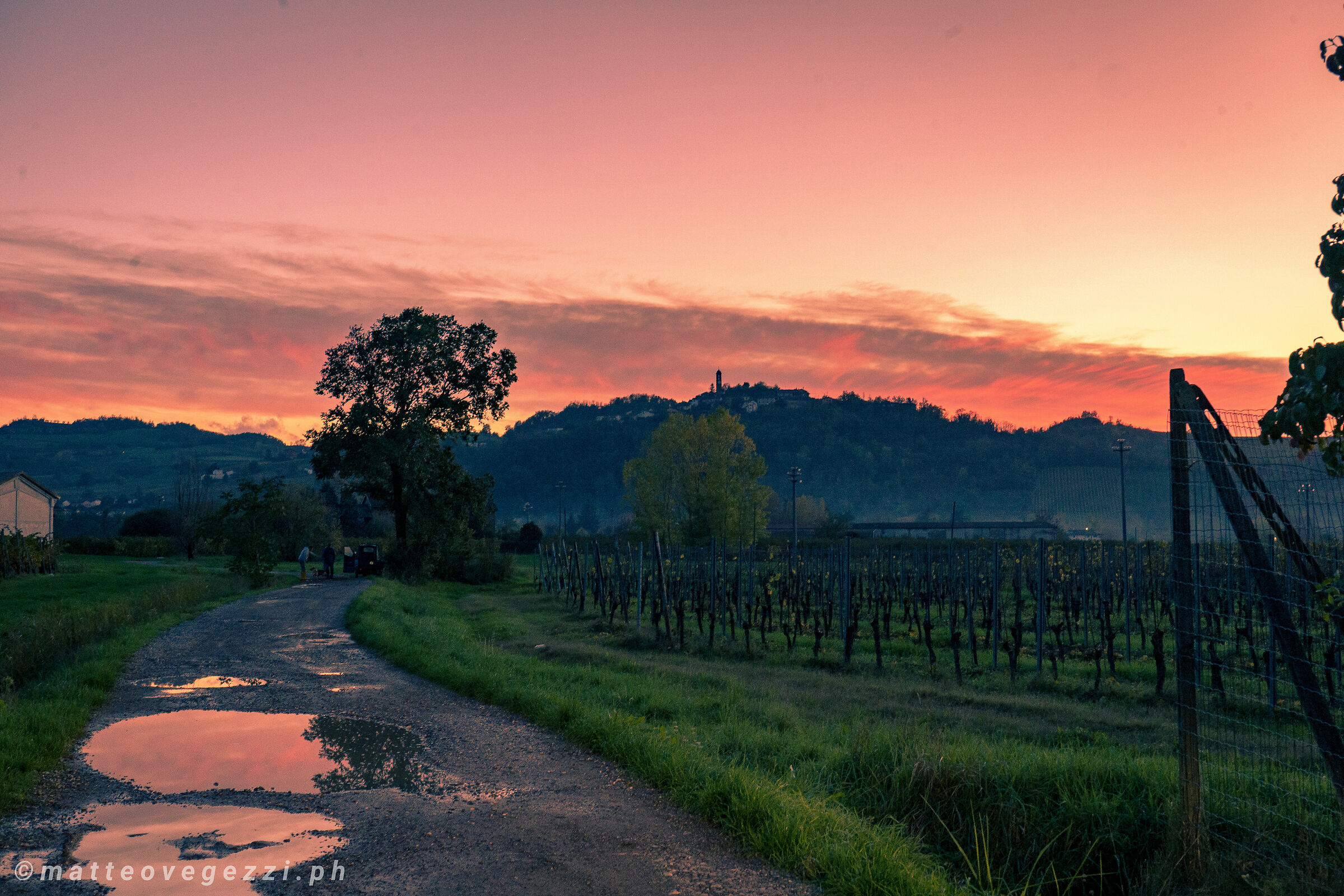 Fine giornata tra le vigne