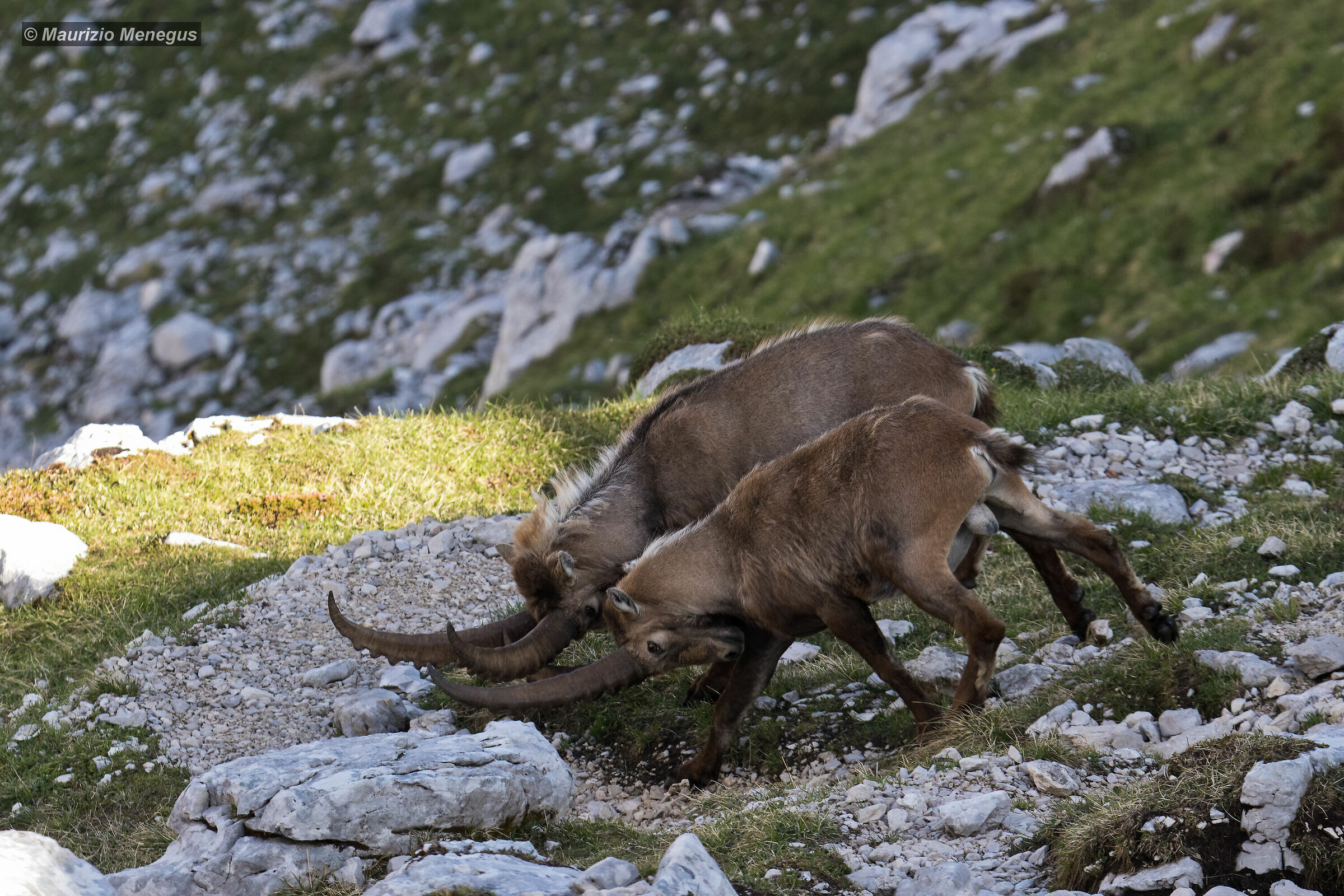 Scornate estive tra coetanei