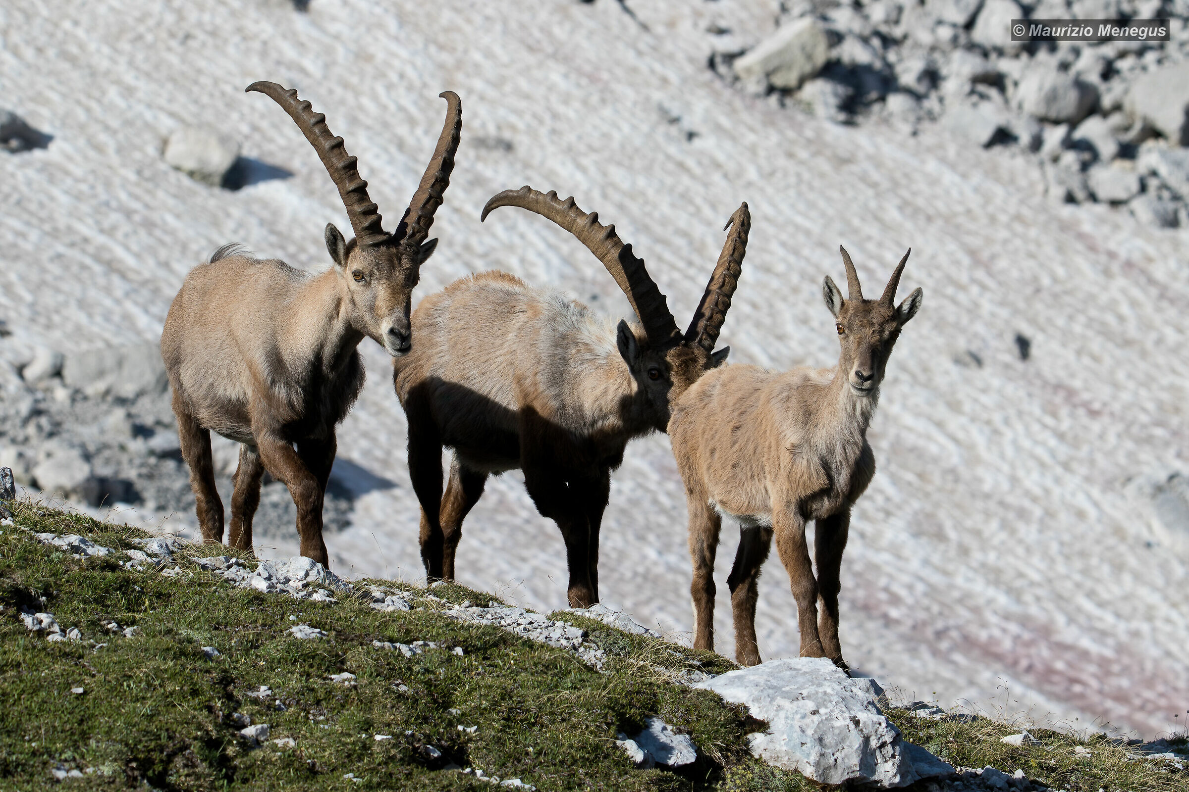 In fila per "lei"....