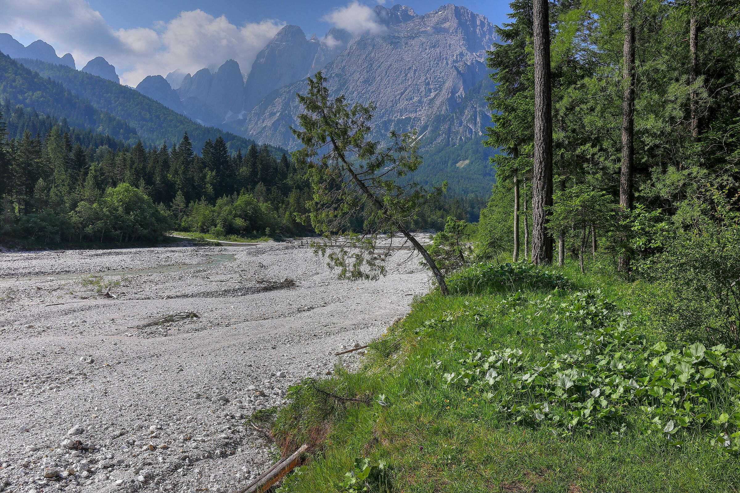 Nel cuore della Val Saisera