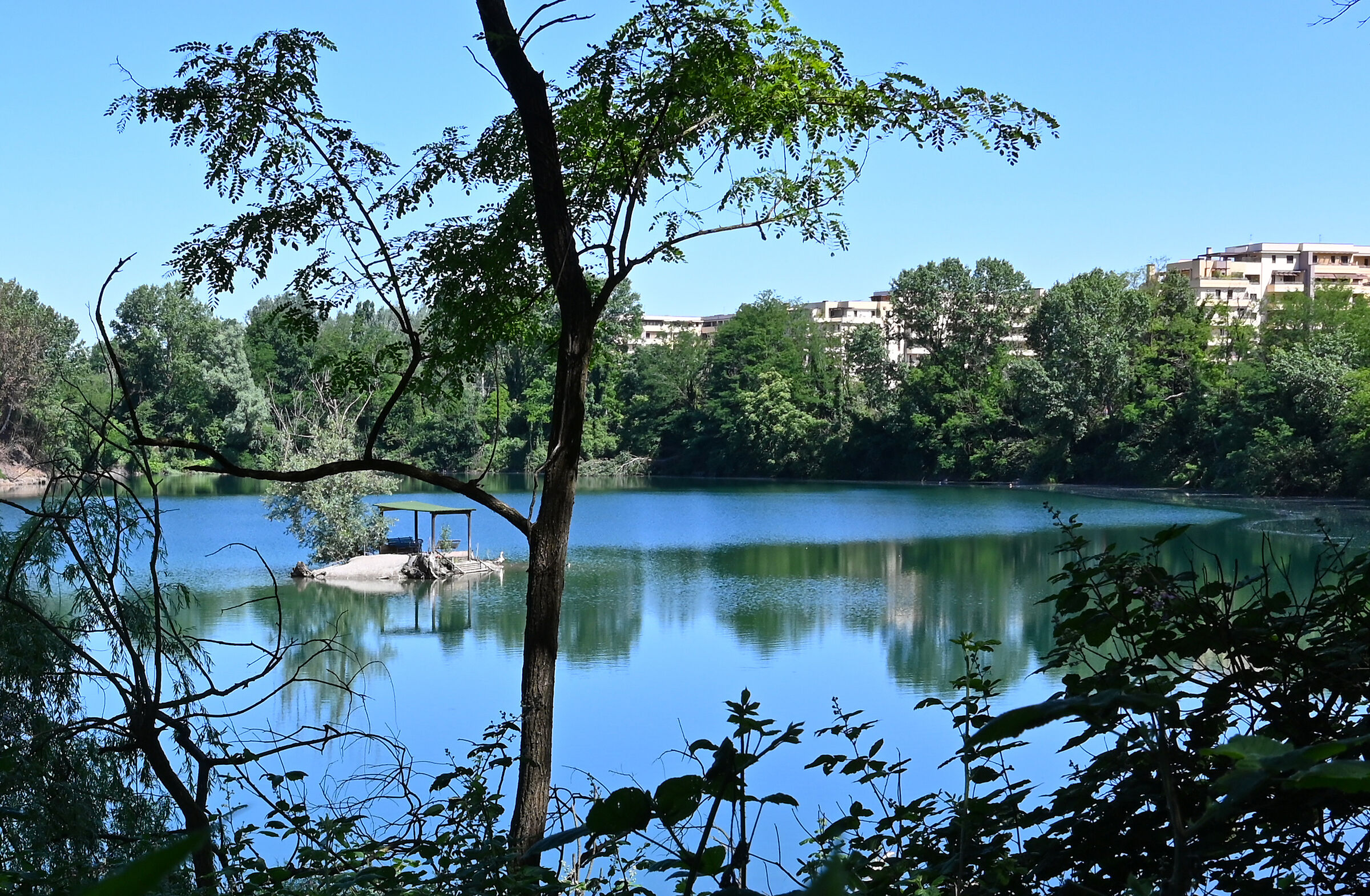 Affitto piccola isola per periodo estivo. Prezzo modico