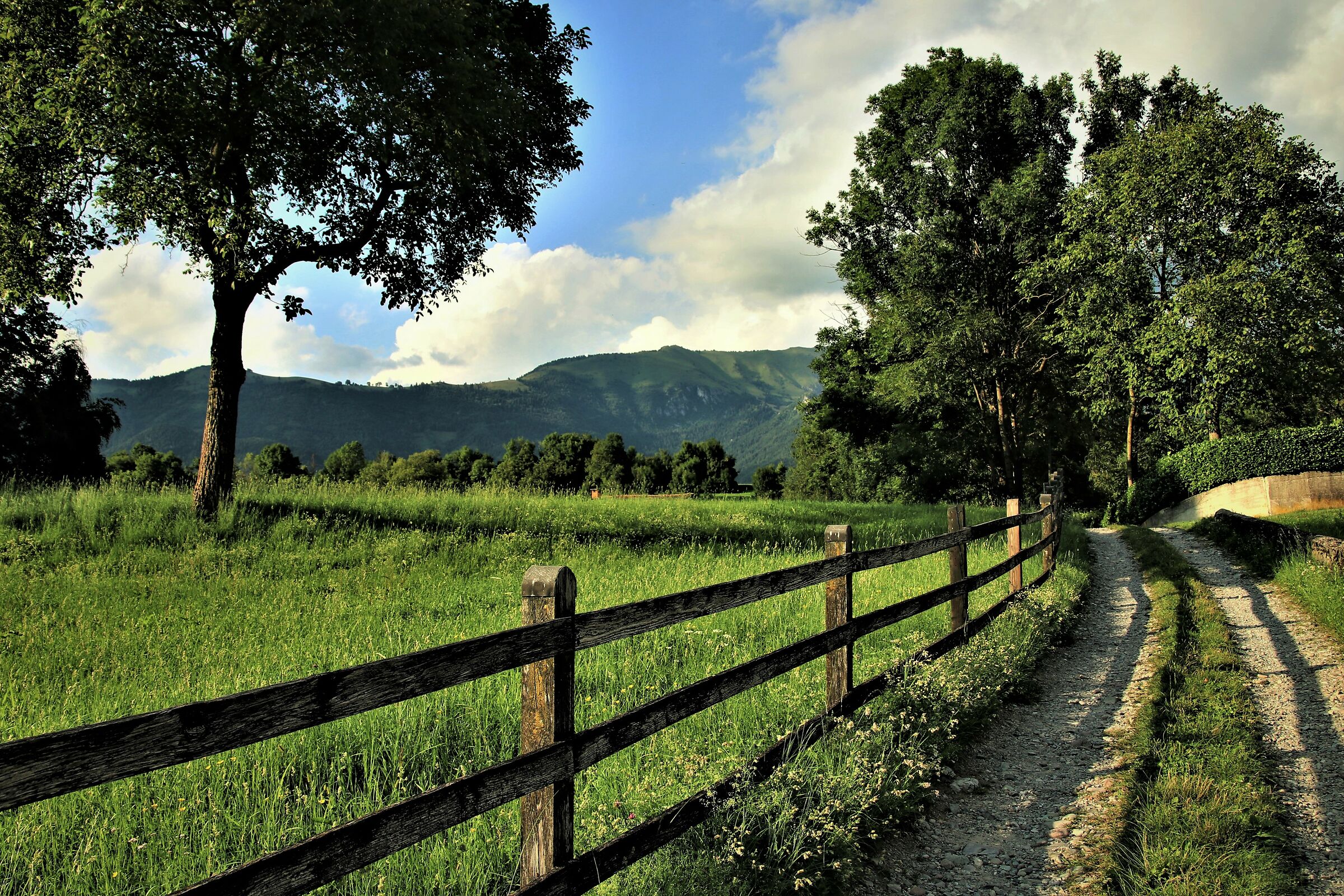 Beyond the fence... private property.