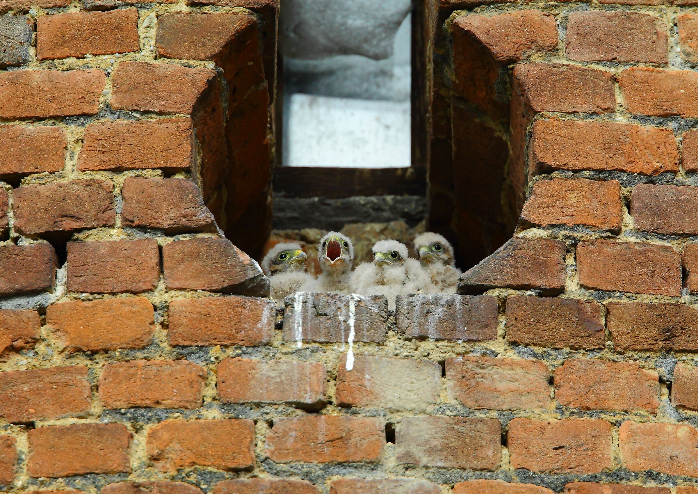 Untitled Photo