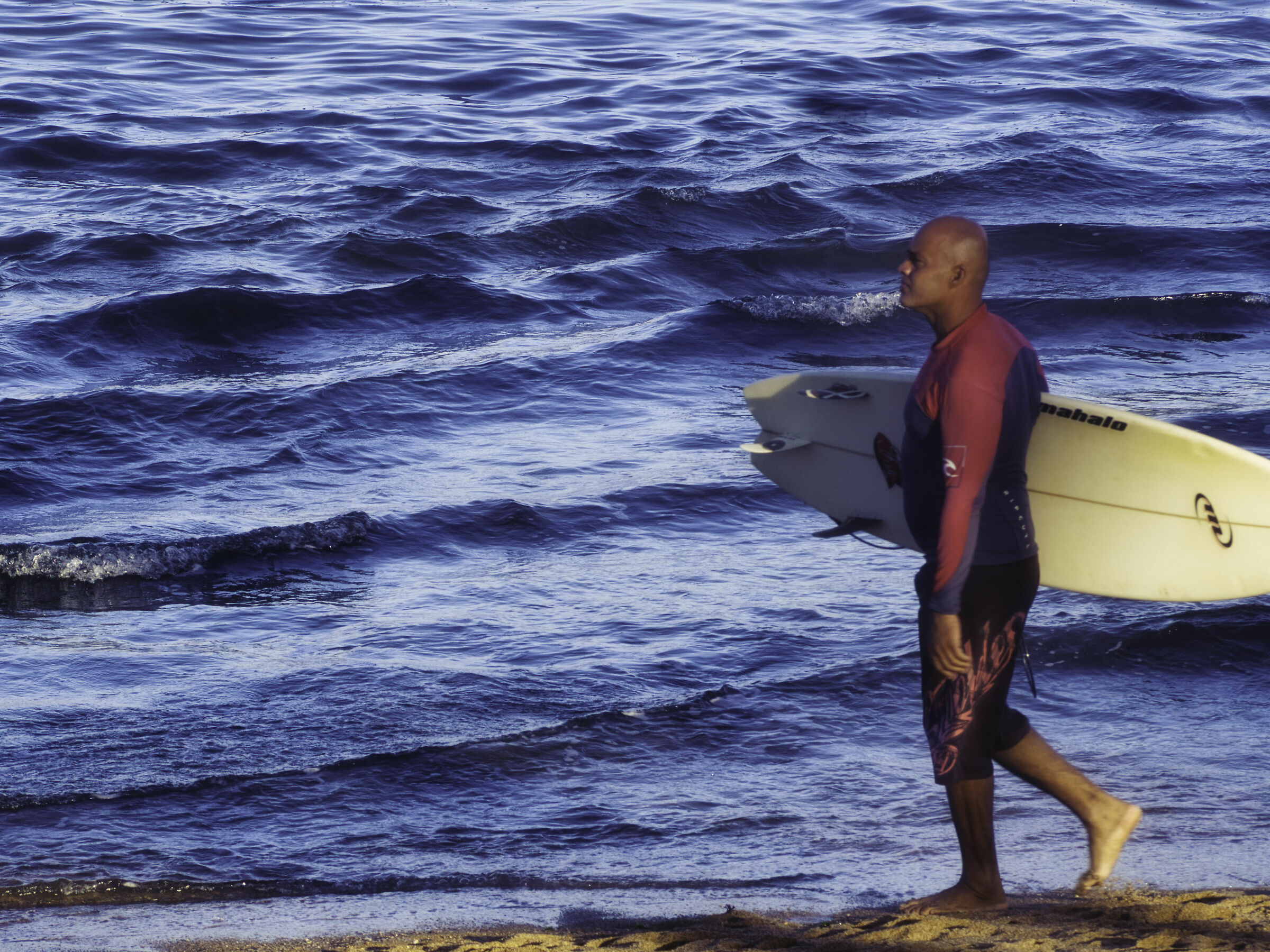 Surf