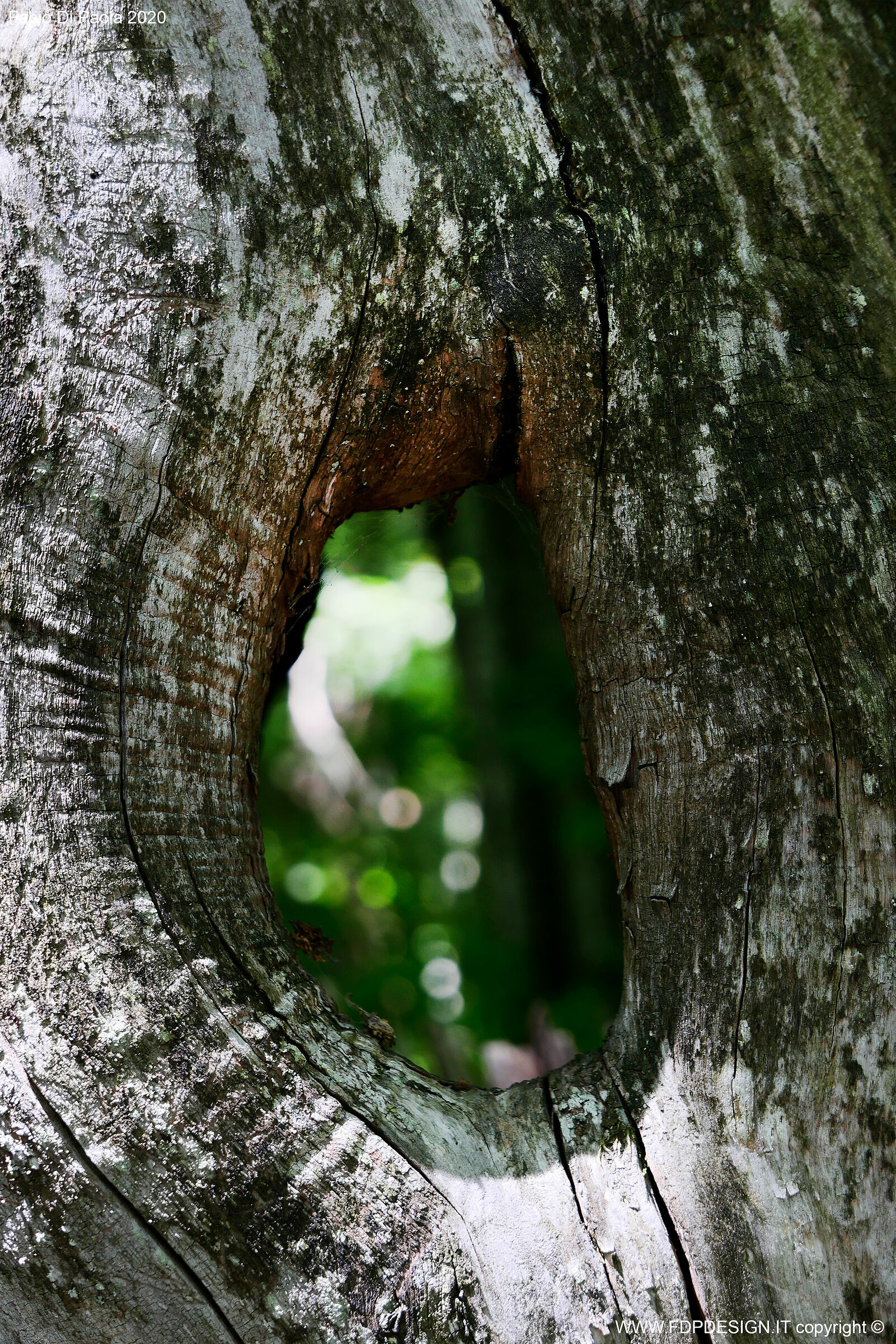 Hole