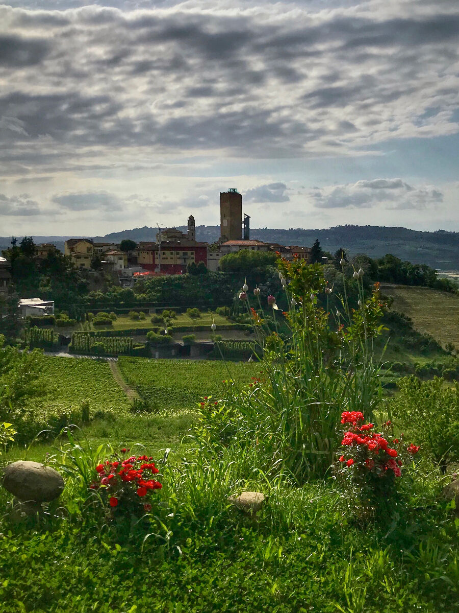 Barbaresco e la sua Torre