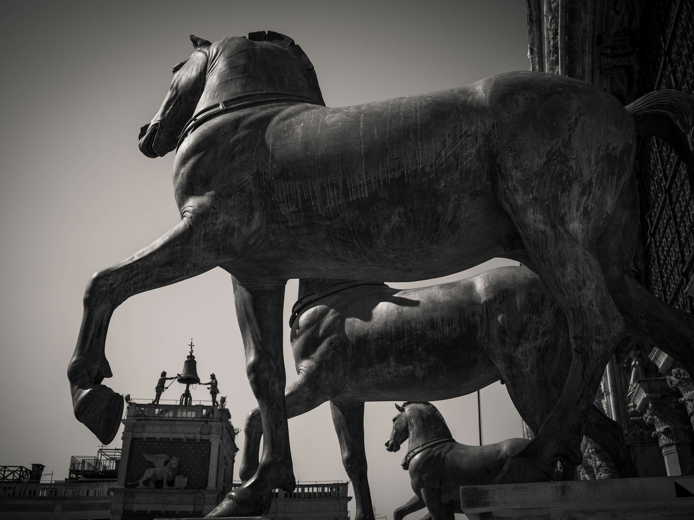 Quadriglia di cavalli e Mori a san Marco